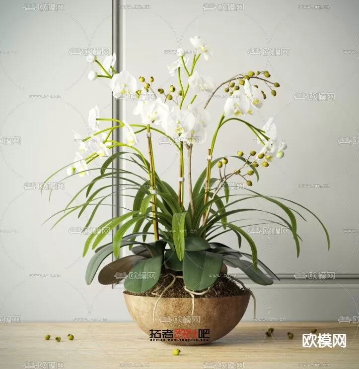 Plants and Flower – 3D Modesl – 0189