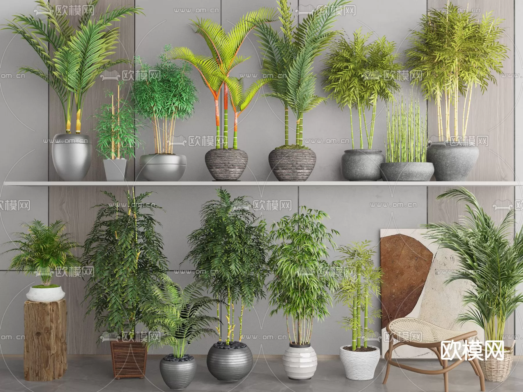 Plants and Flower – 3D Modesl – 0191