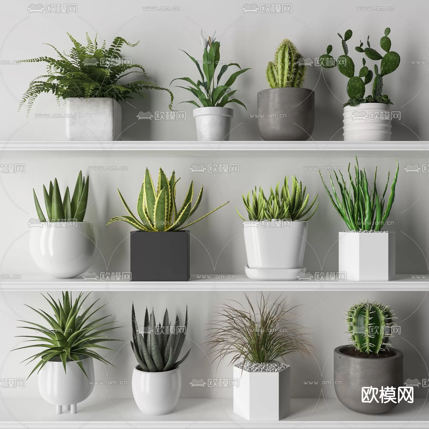 Plants and Flower – 3D Modesl – 0196