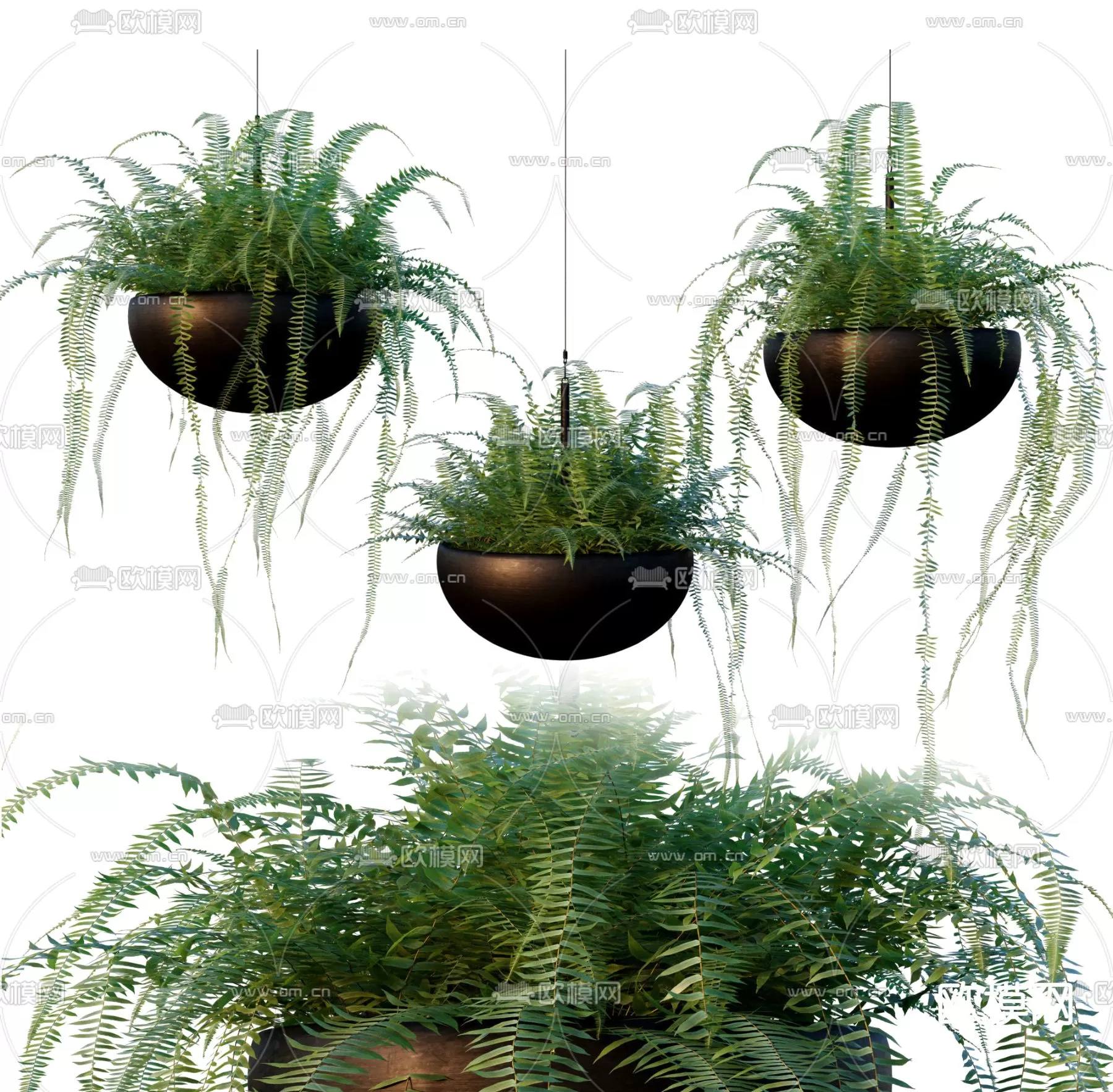 Plants and Flower – 3D Modesl – 0202