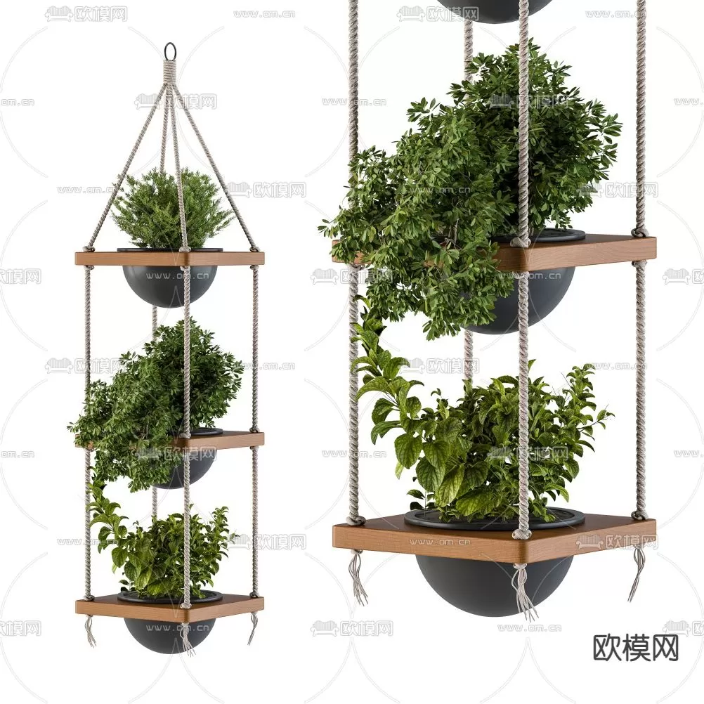 Plants and Flower – 3D Modesl – 0205