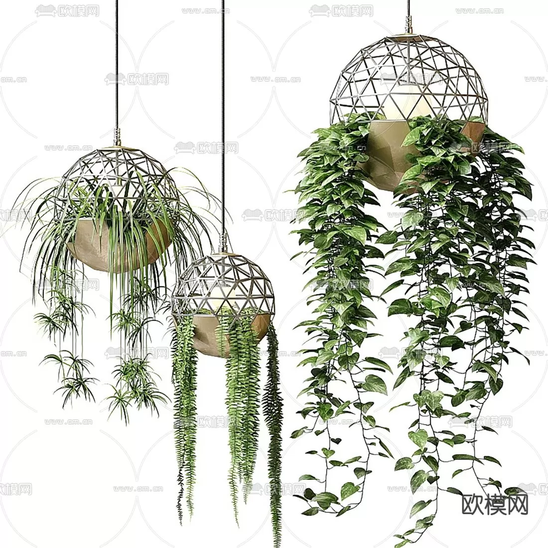 Plants and Flower – 3D Modesl – 0206