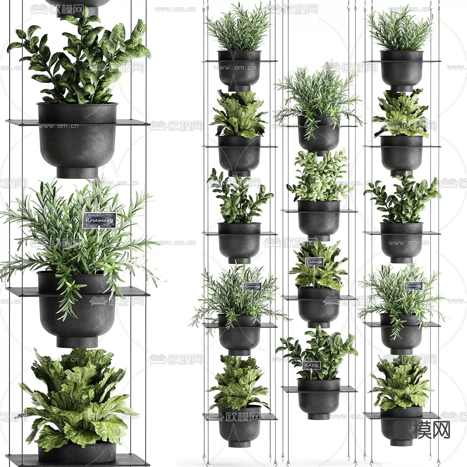 Plants and Flower – 3D Modesl – 0207