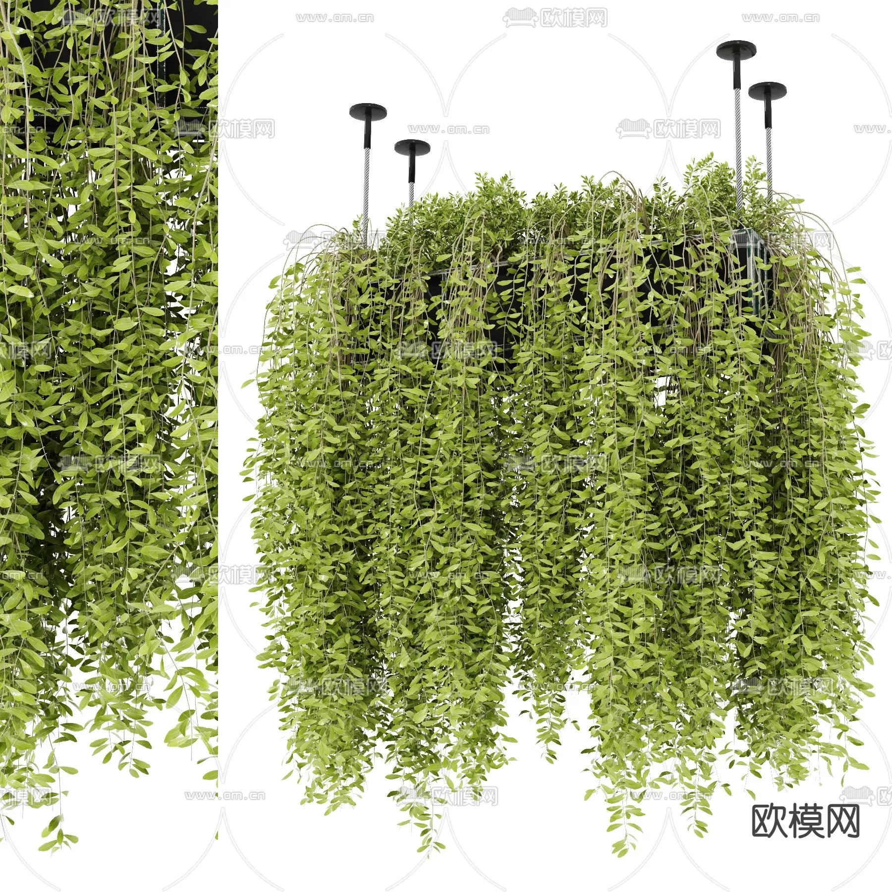 Plants and Flower – 3D Modesl – 0208