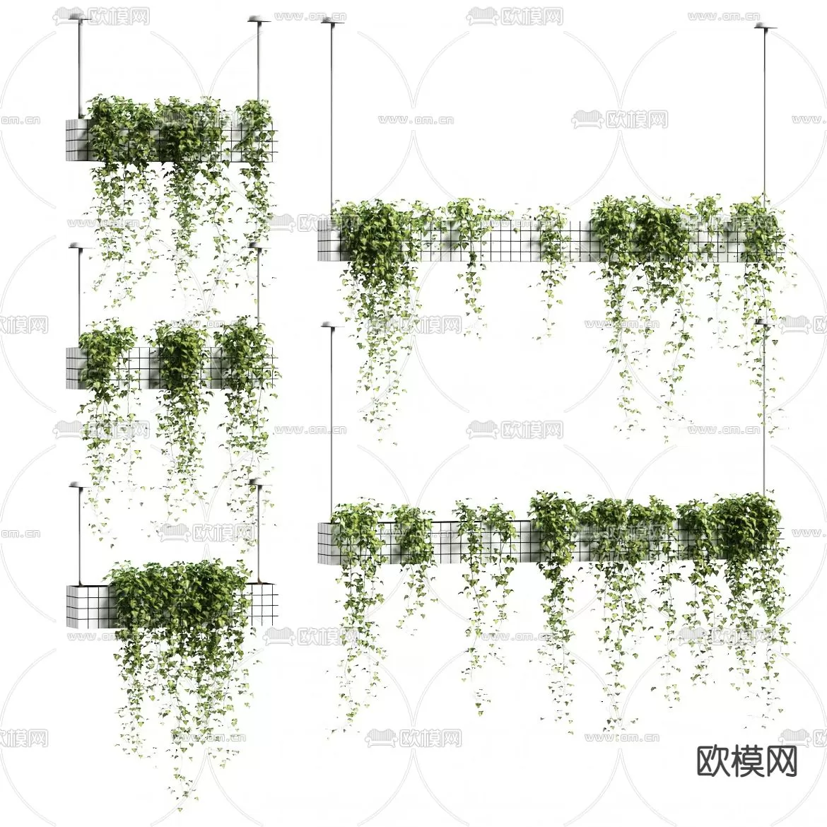 Plants and Flower – 3D Modesl – 0212