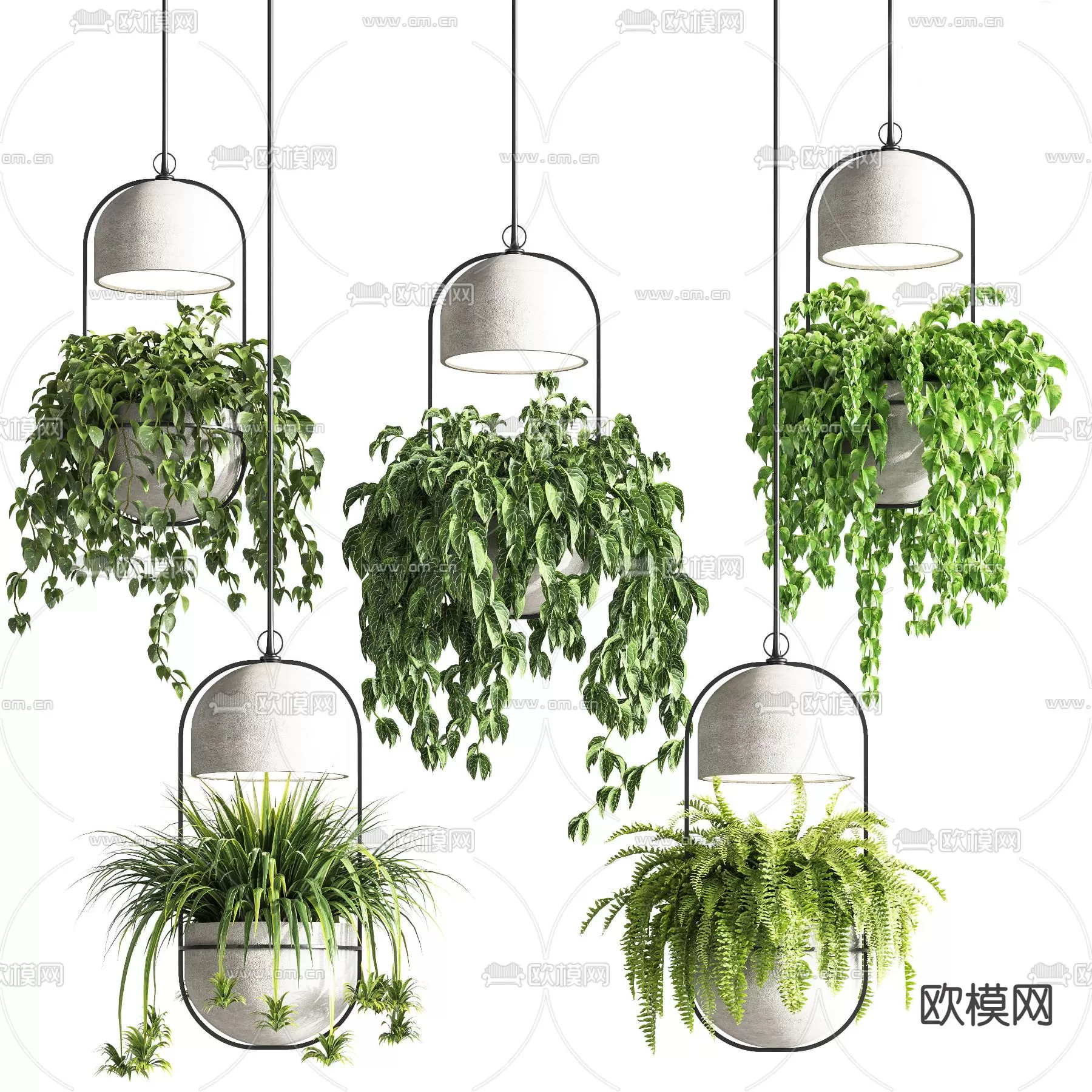 Plants and Flower – 3D Modesl – 0213