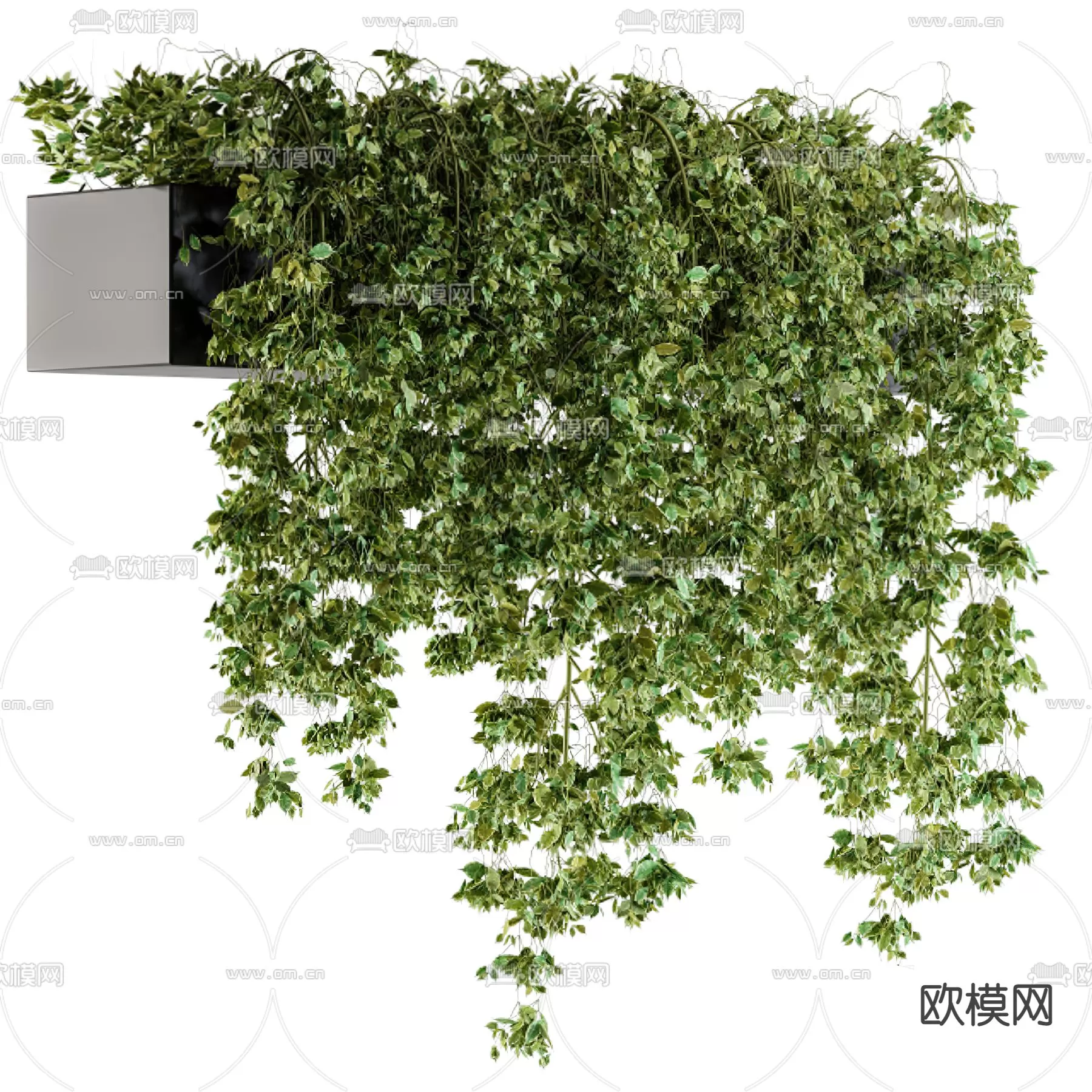 Plants and Flower – 3D Modesl – 0214