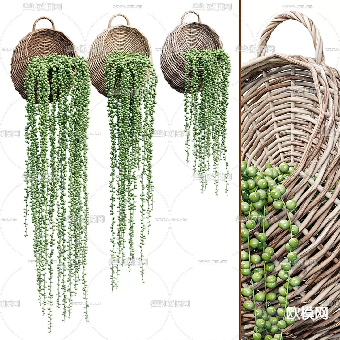 Plants and Flower – 3D Modesl – 0219