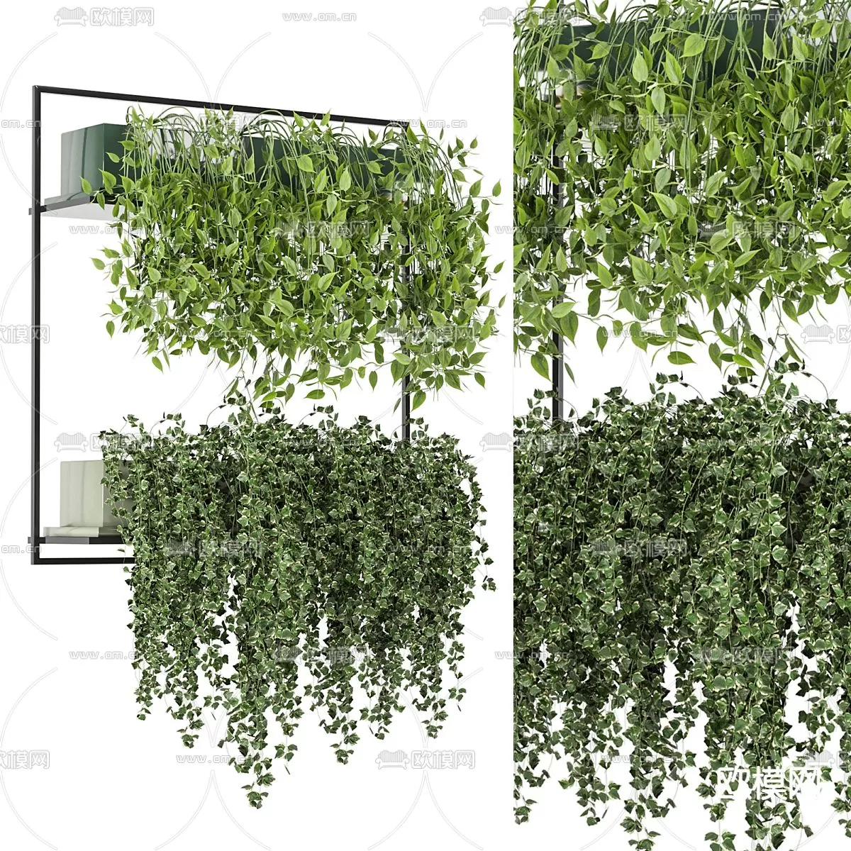 Plants and Flower – 3D Modesl – 0222