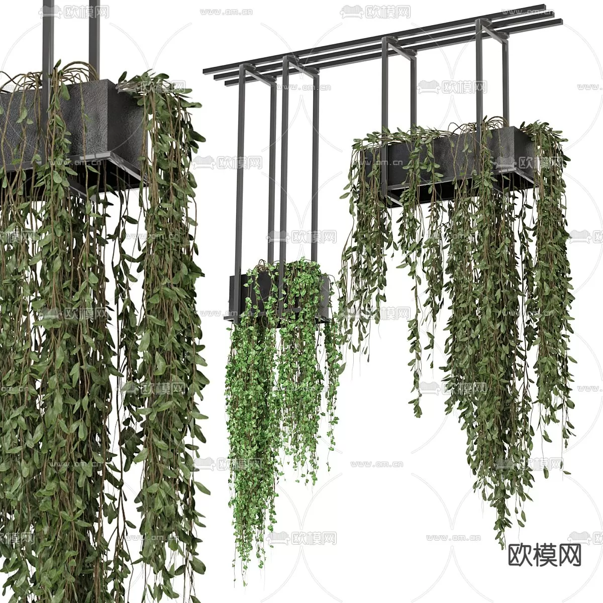 Plants and Flower – 3D Modesl – 0223