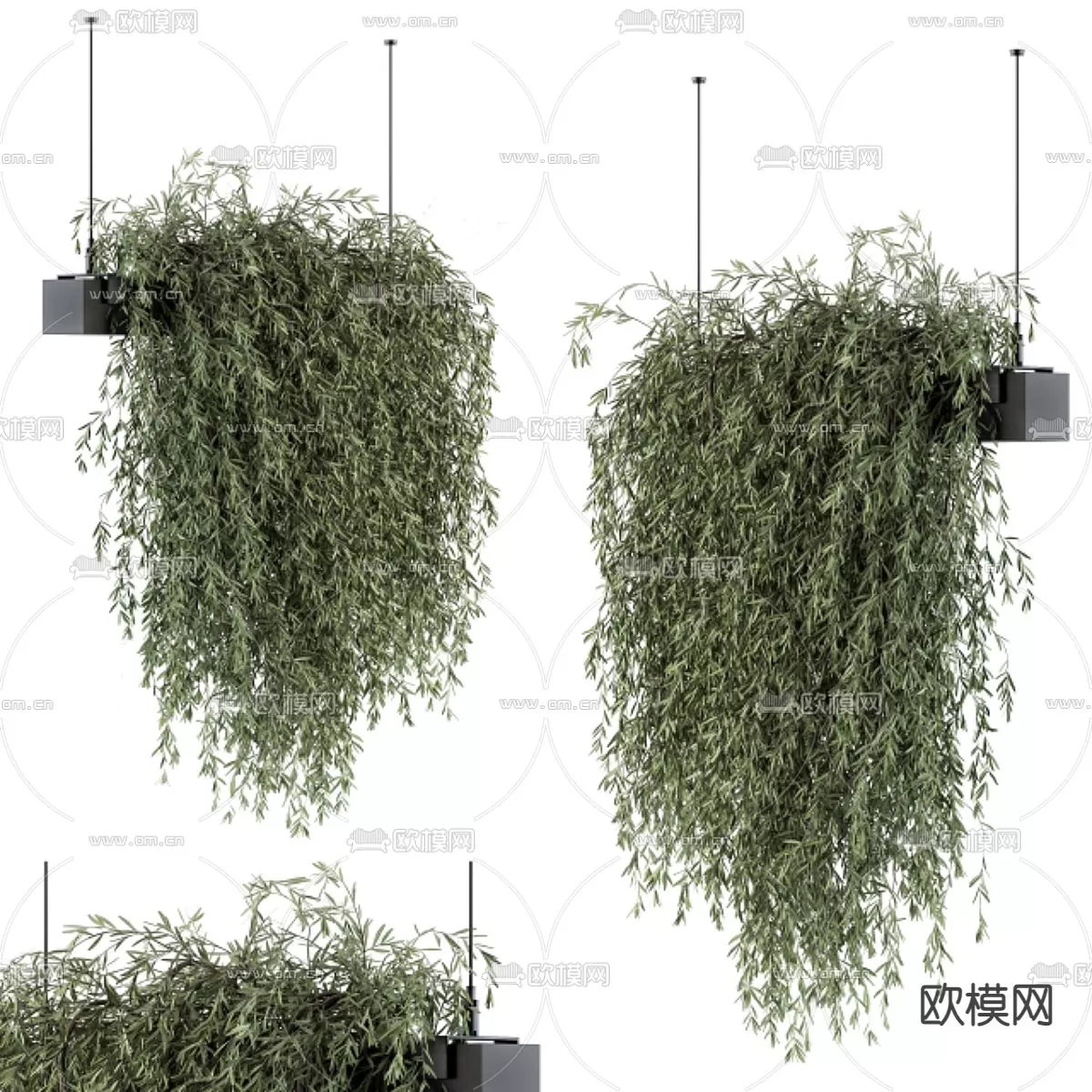 Plants and Flower – 3D Modesl – 0224