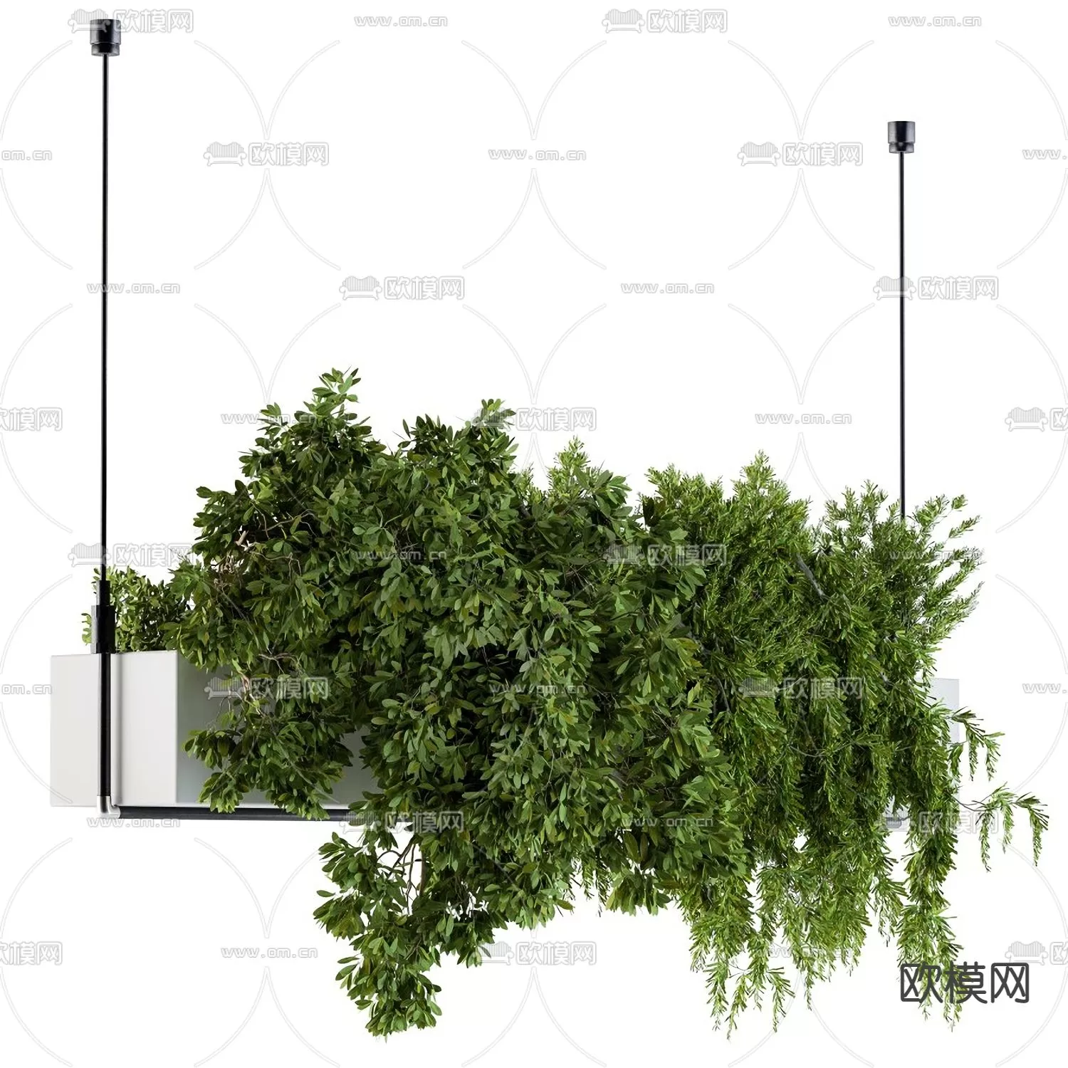 Plants and Flower – 3D Modesl – 0227