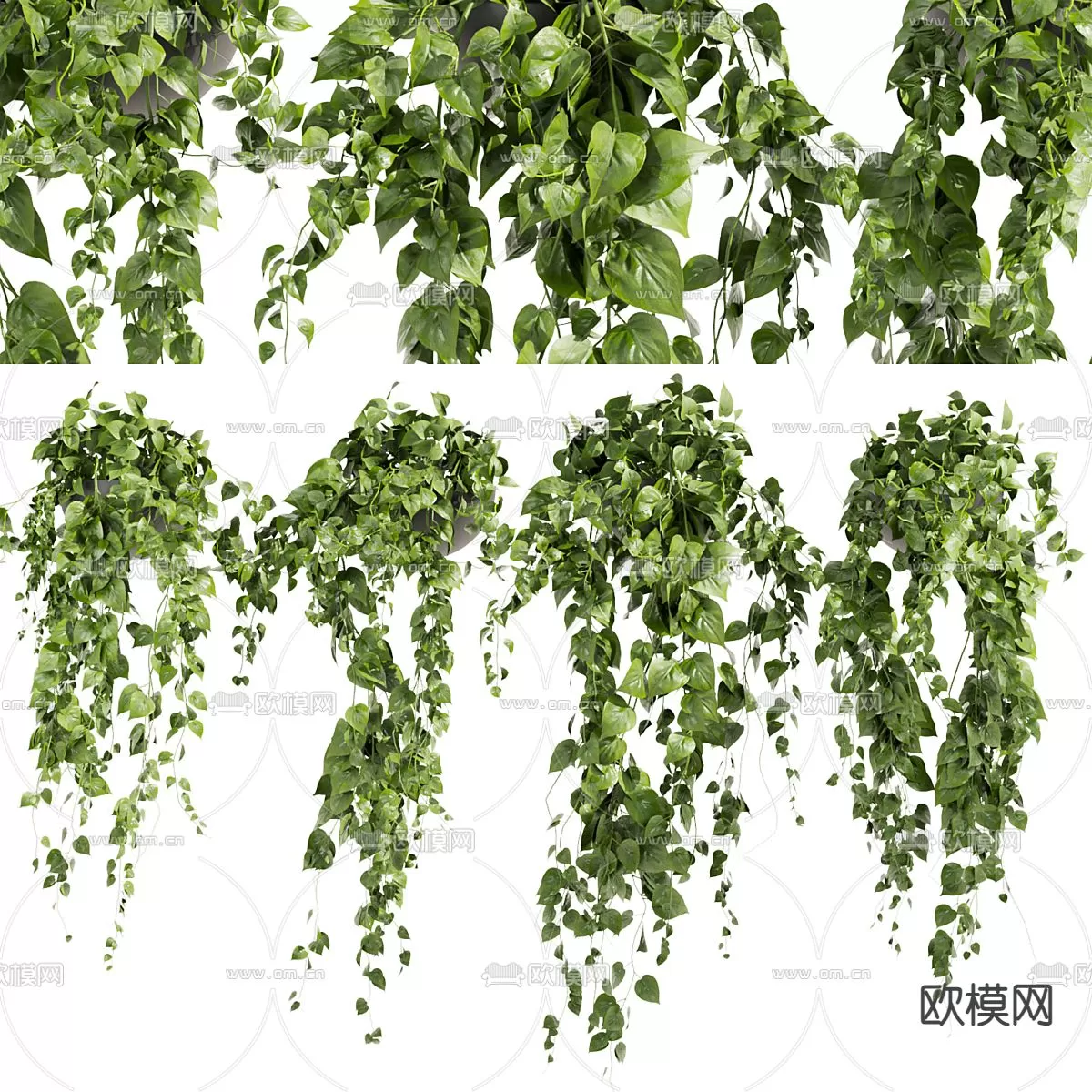 Plants and Flower – 3D Modesl – 0228