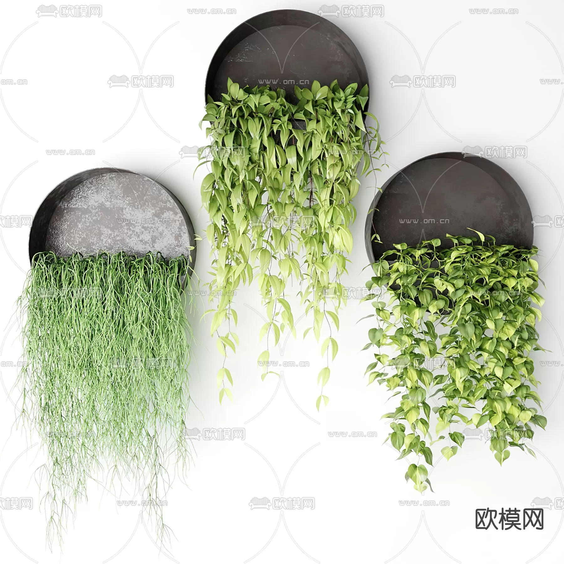 Plants and Flower – 3D Modesl – 0230