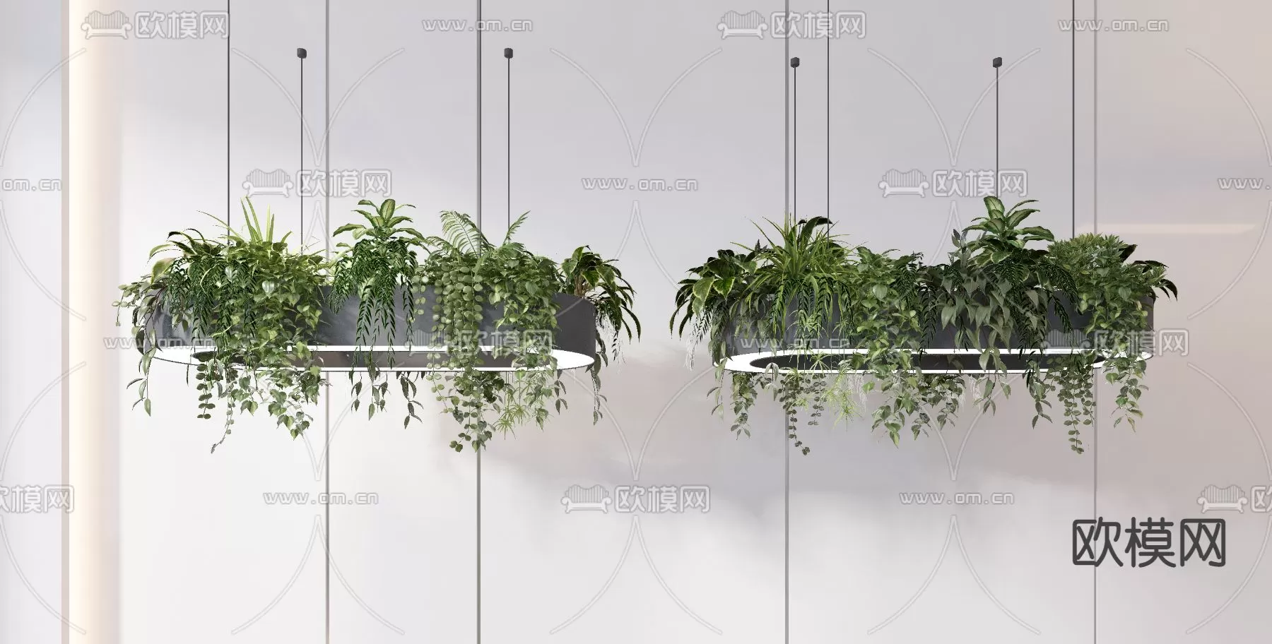 Plants and Flower – 3D Modesl – 0232