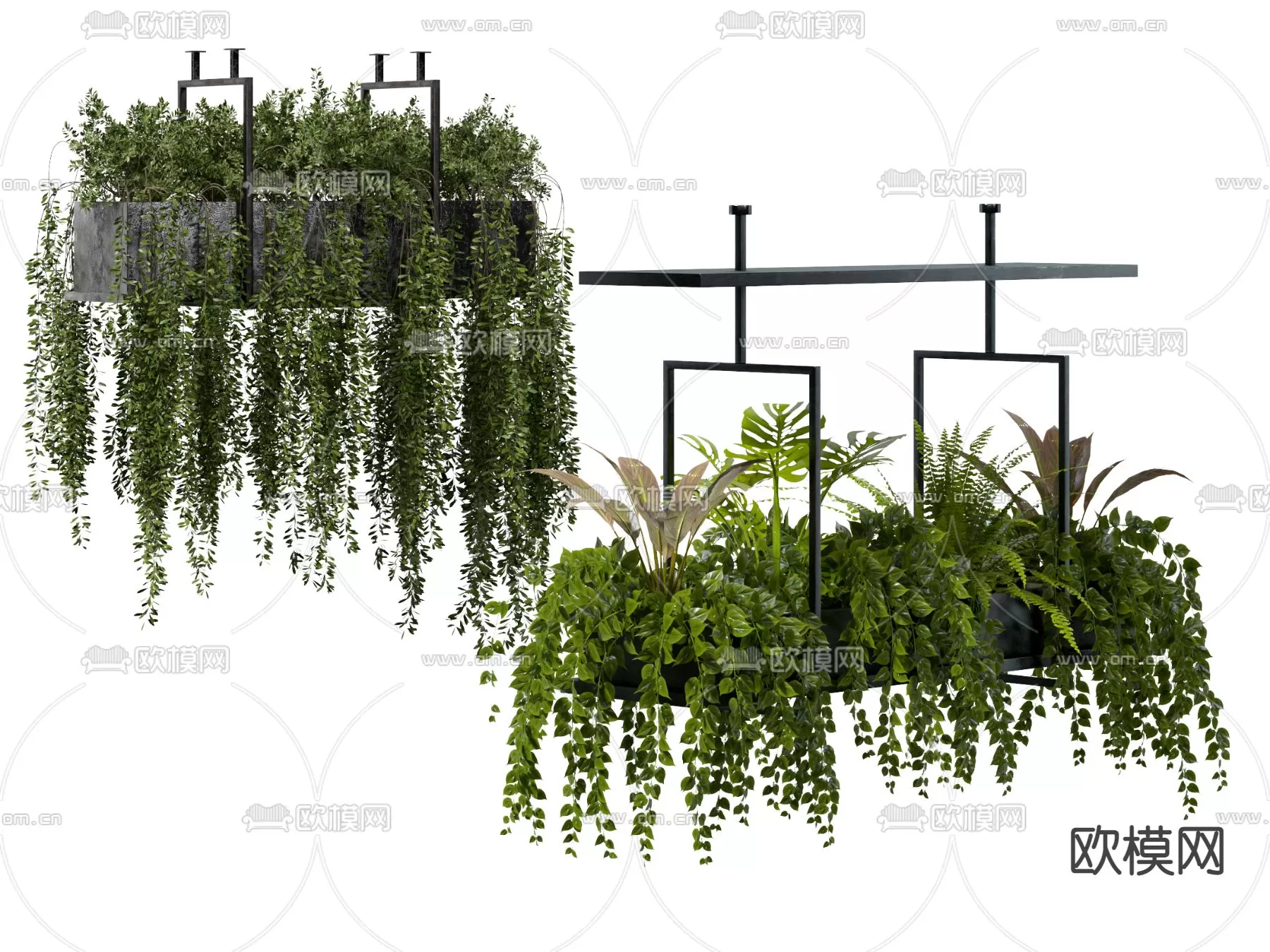 Plants and Flower – 3D Modesl – 0238