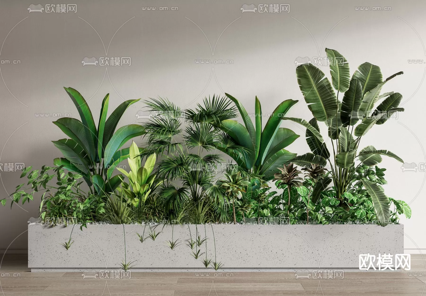 Plants and Flower – 3D Modesl – 0267