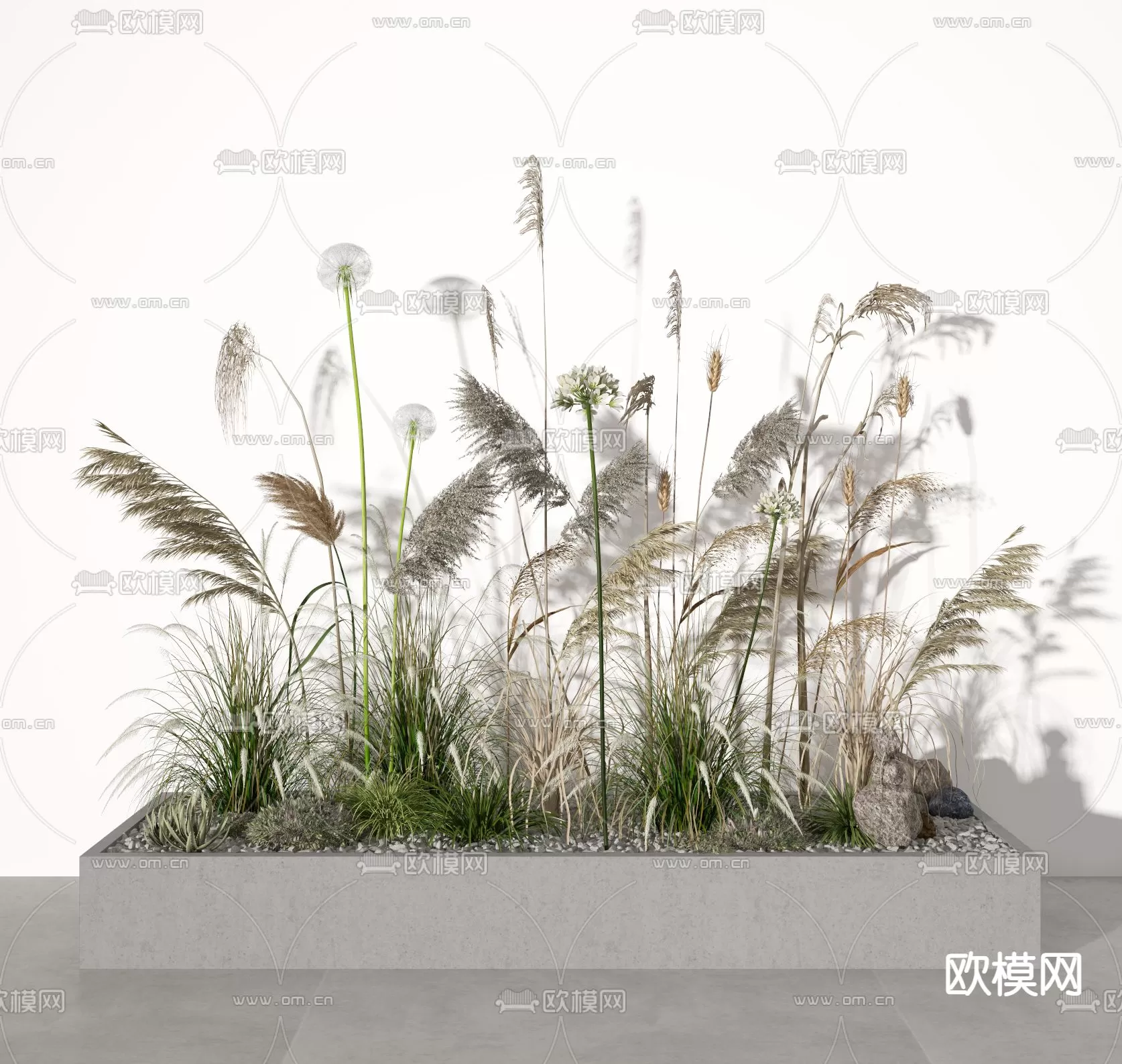 Plants and Flower – 3D Modesl – 0271