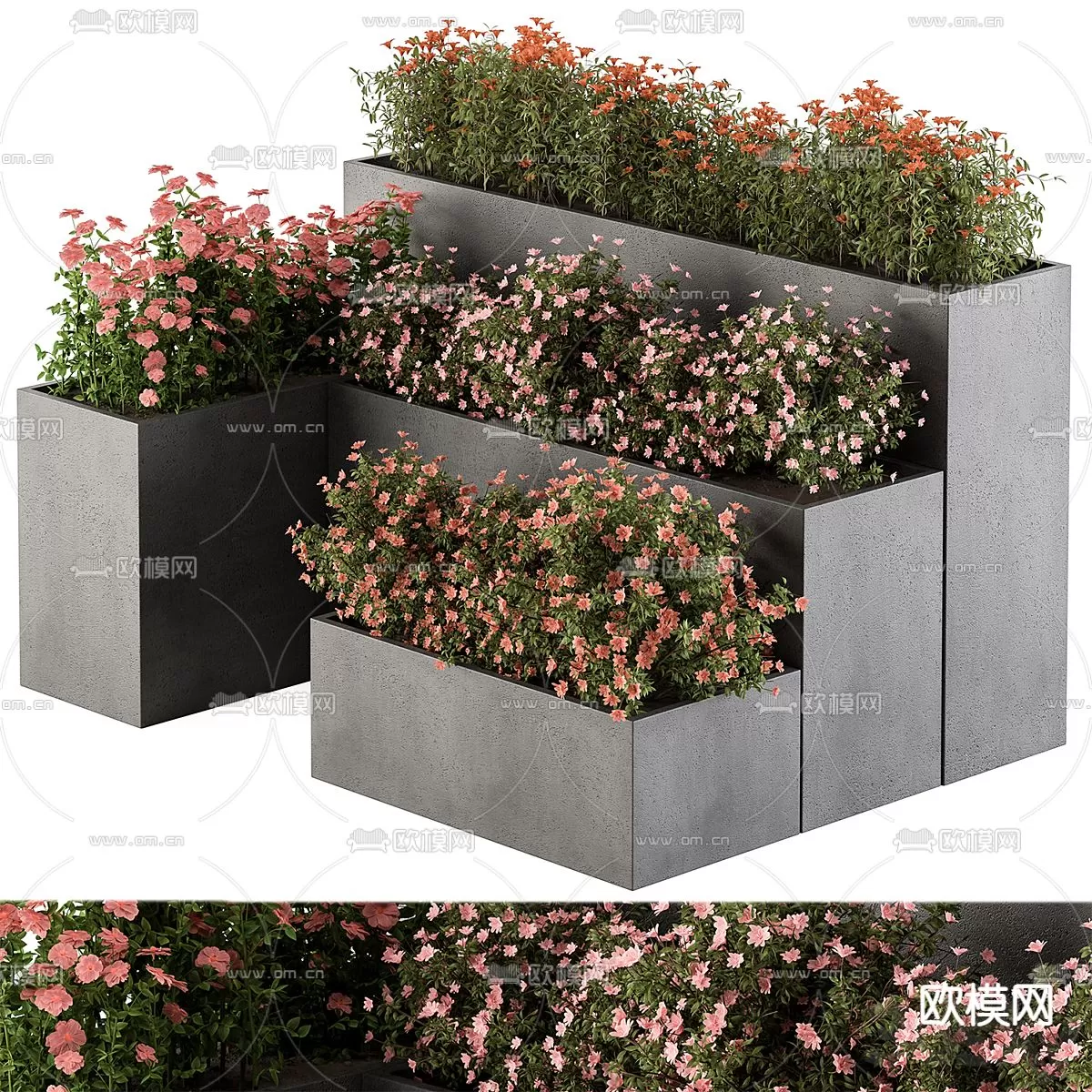 Plants and Flower – 3D Modesl – 0281