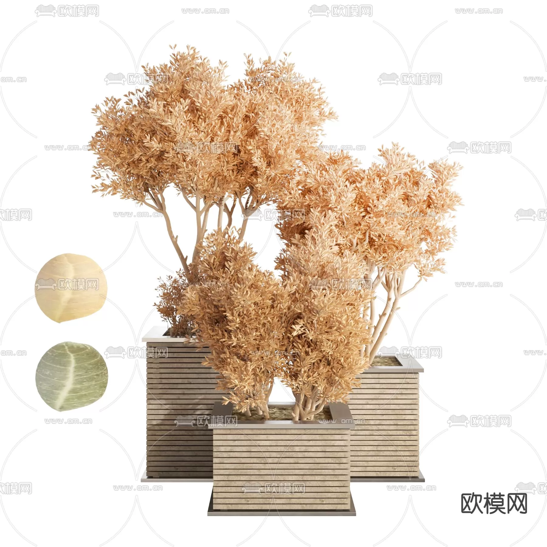 Plants and Flower – 3D Modesl – 0282