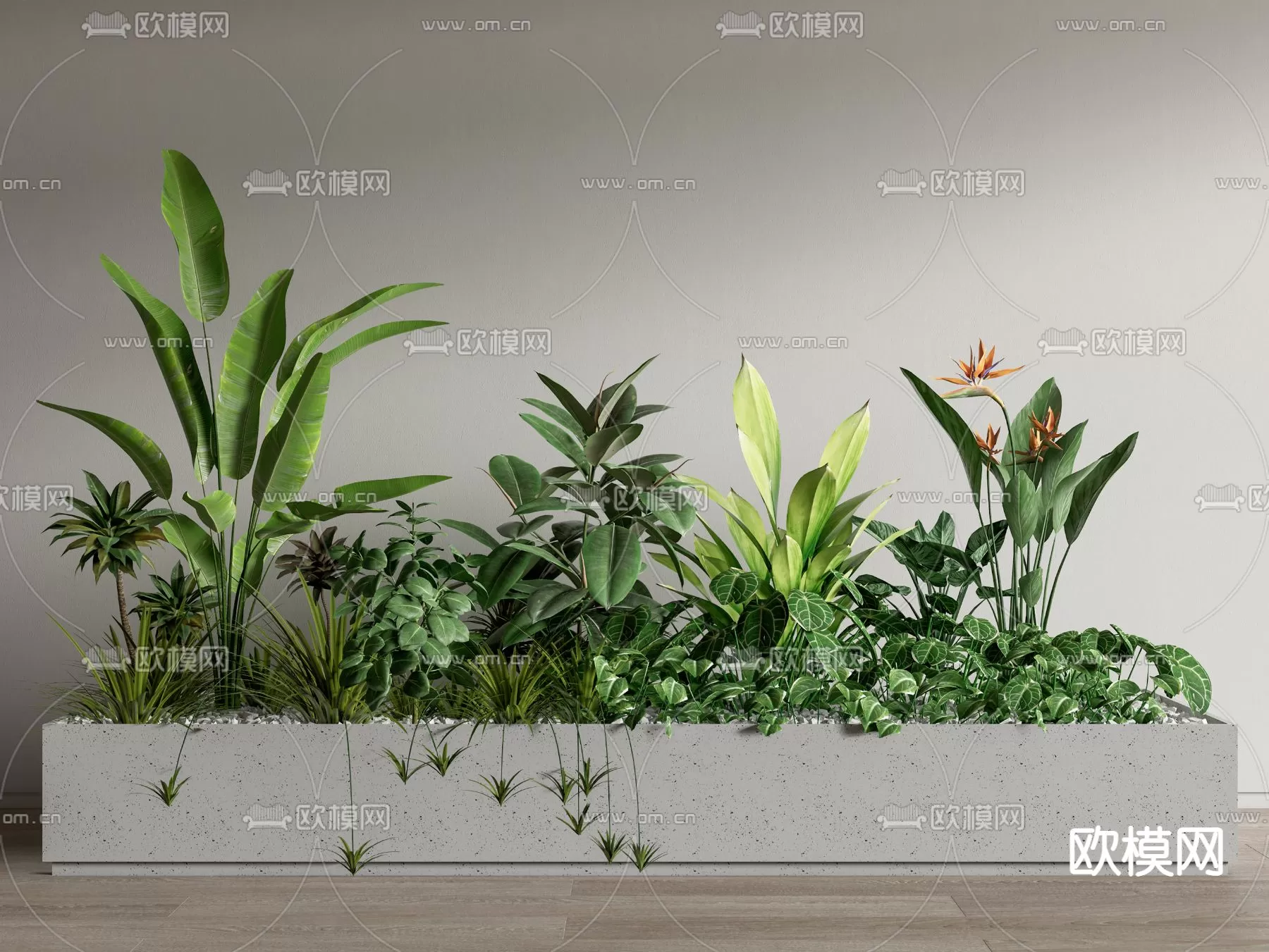 Plants and Flower – 3D Modesl – 0284