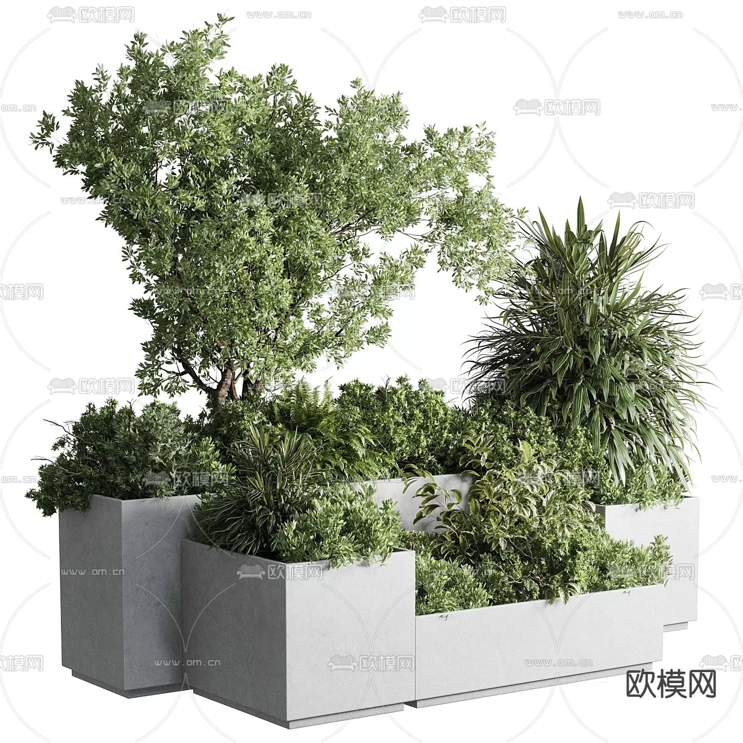 Plants and Flower – 3D Modesl – 0290