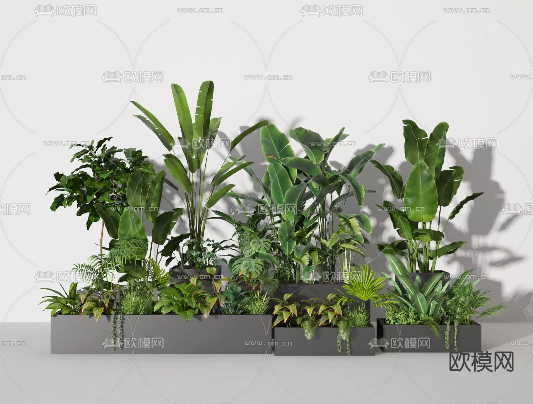 Plants and Flower – 3D Modesl – 0293