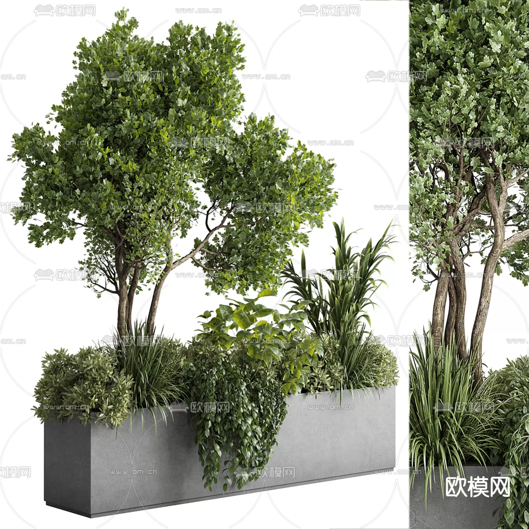 Plants and Flower – 3D Modesl – 0295