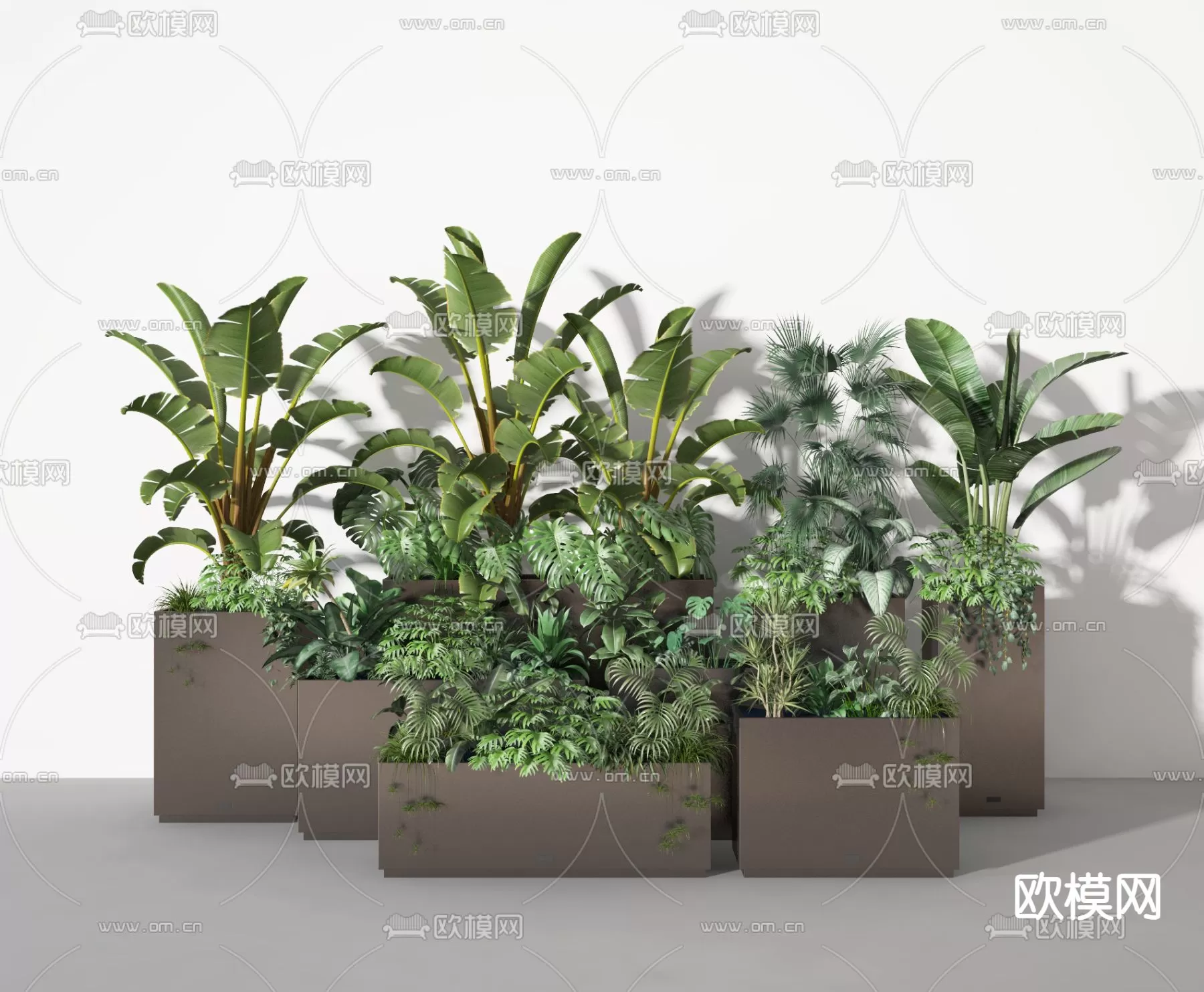 Plants and Flower – 3D Modesl – 0296