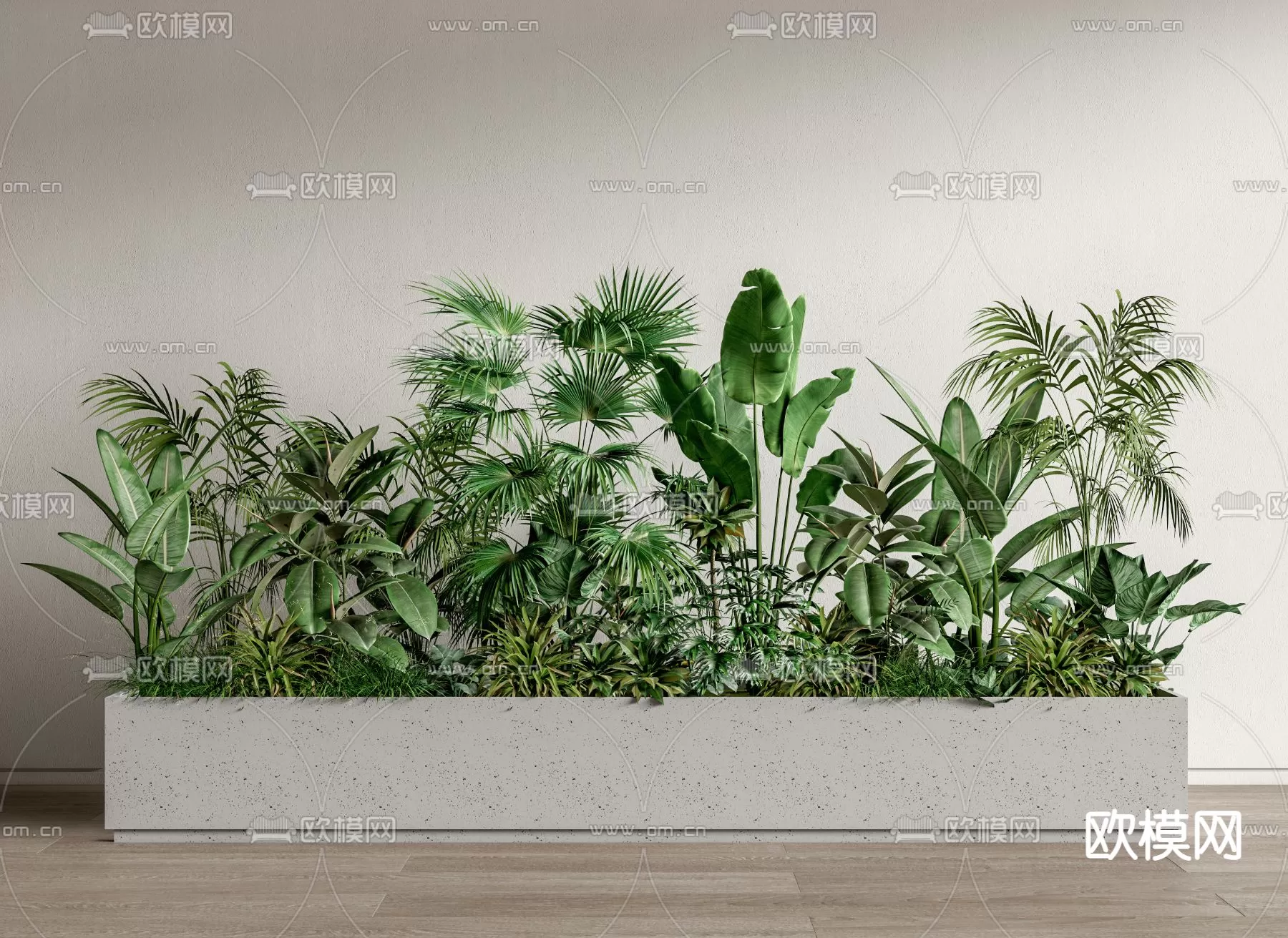 Plants and Flower – 3D Modesl – 0297