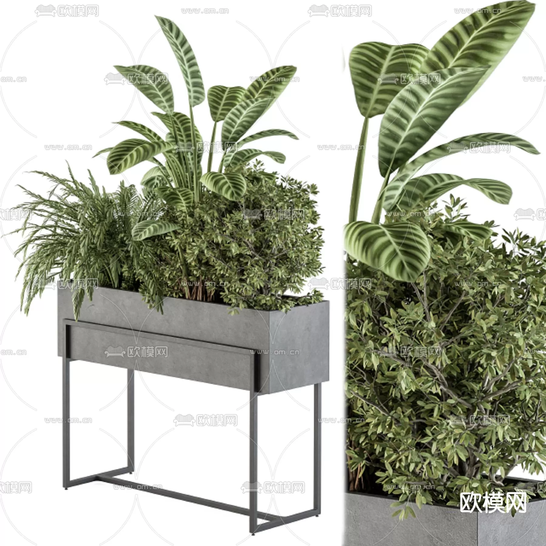 Plants and Flower – 3D Modesl – 0301