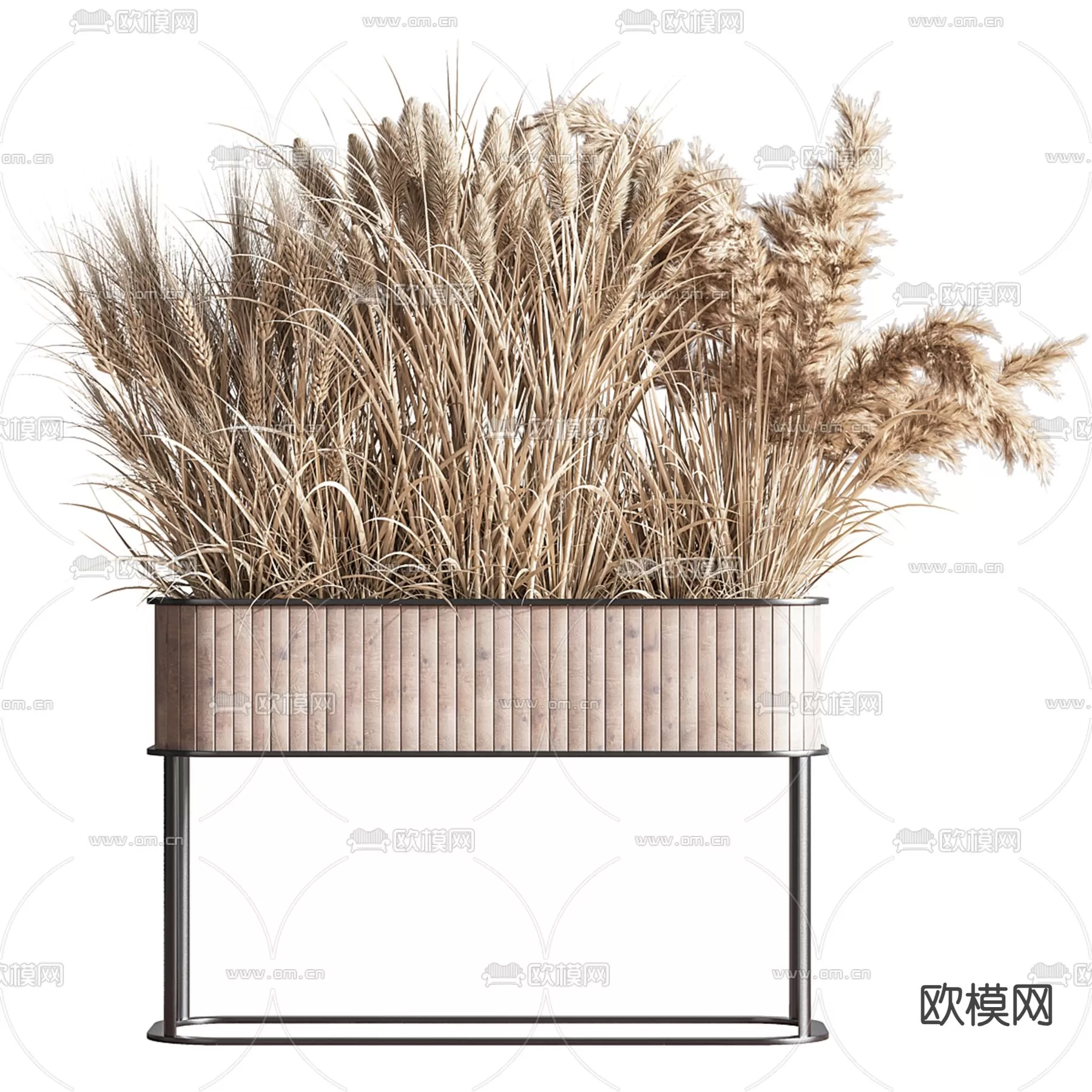 Plants and Flower – 3D Modesl – 0303