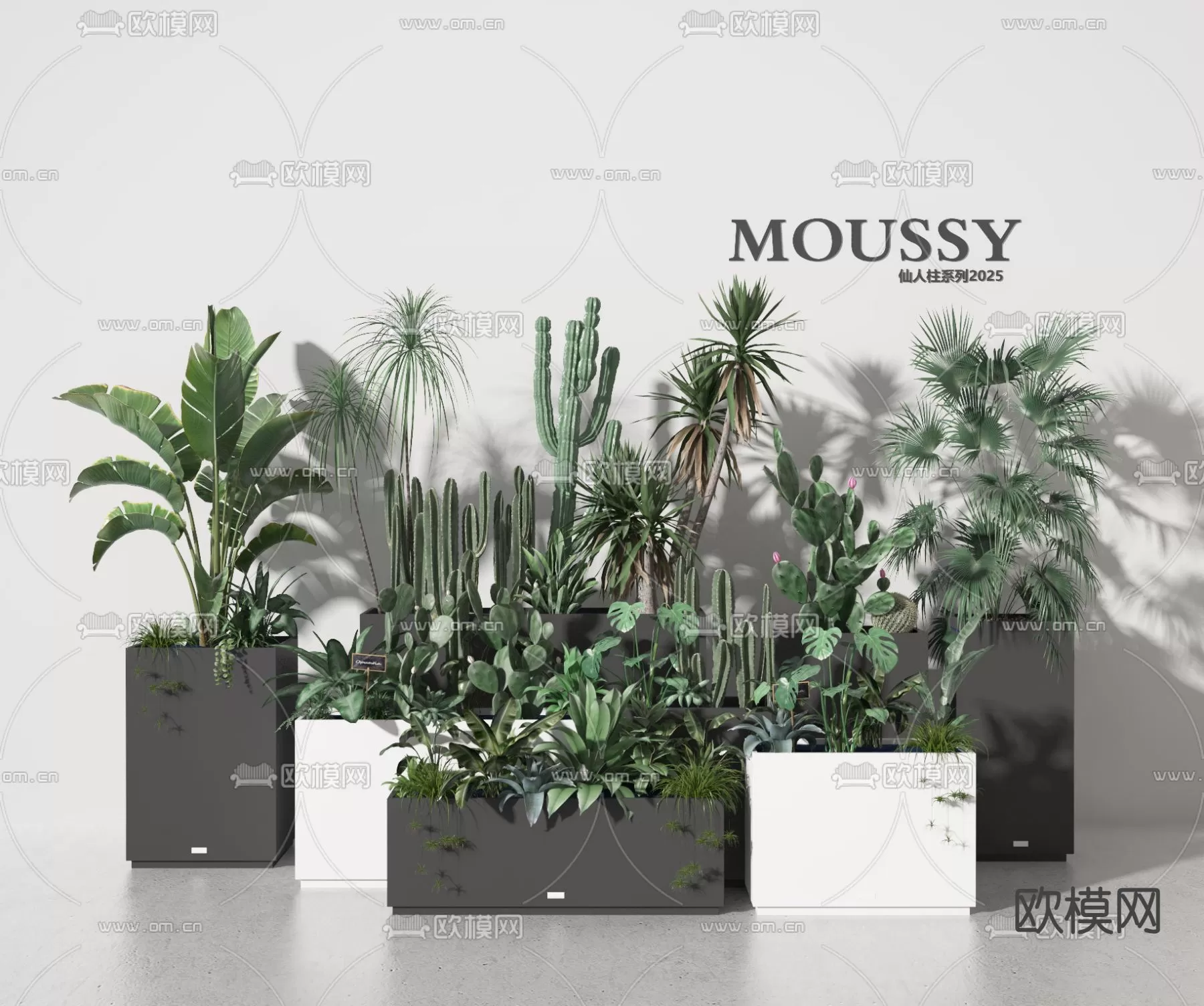 Plants and Flower – 3D Modesl – 0310