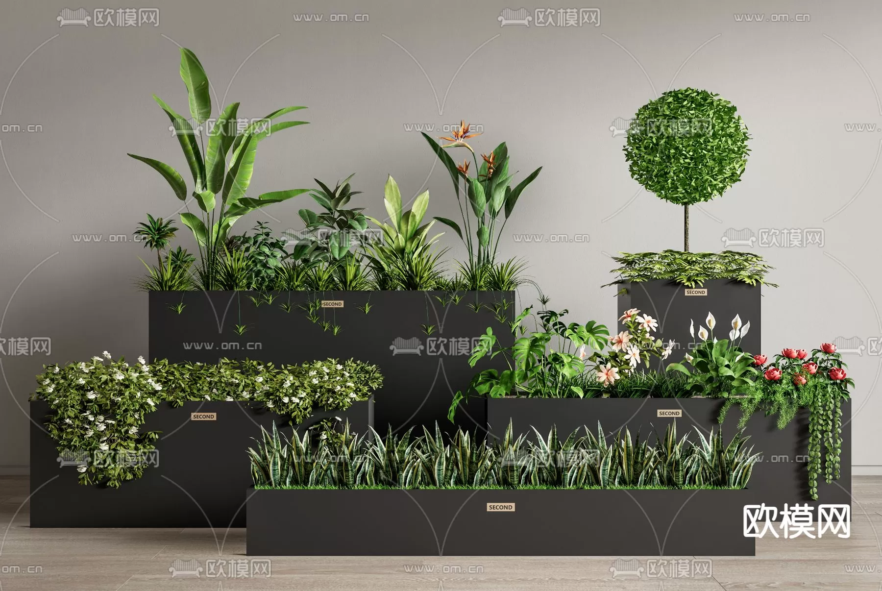 Plants and Flower – 3D Modesl – 0313