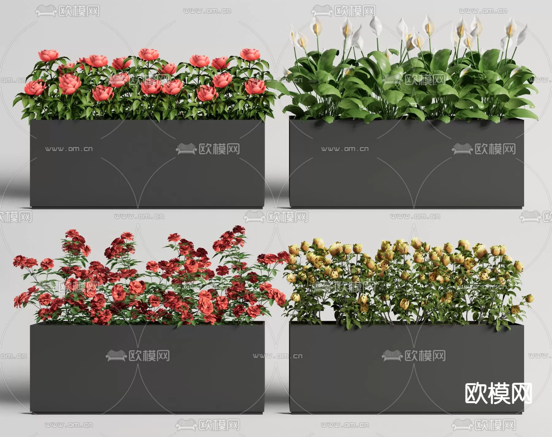 Plants and Flower – 3D Modesl – 0314