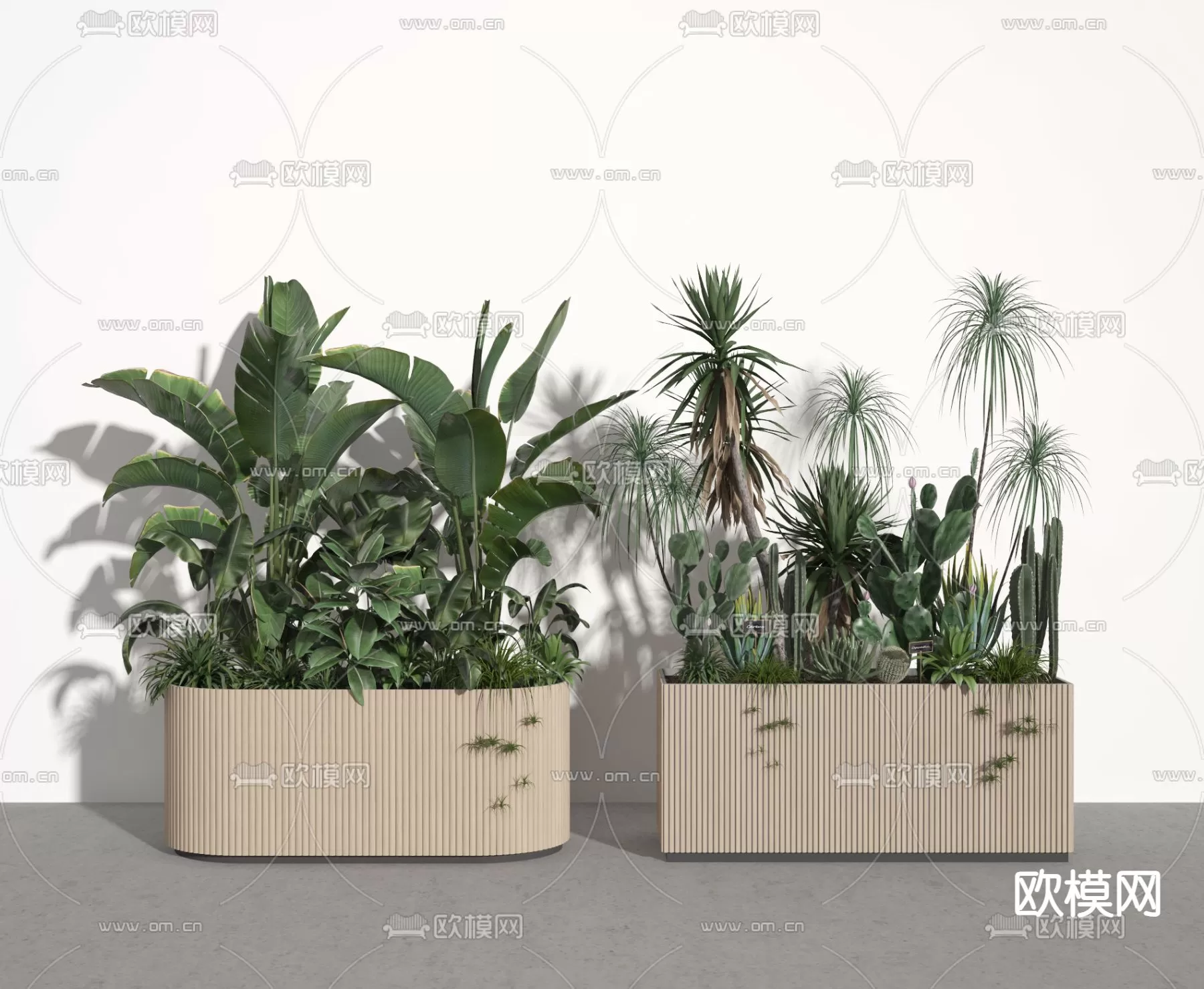 Plants and Flower – 3D Modesl – 0315