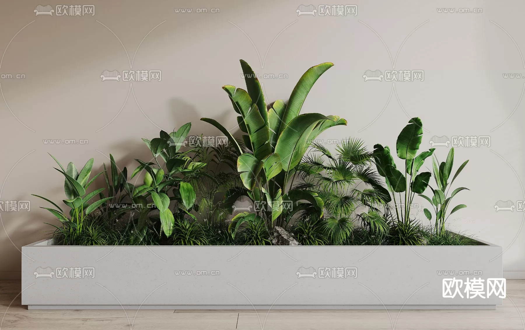 Plants and Flower – 3D Modesl – 0317