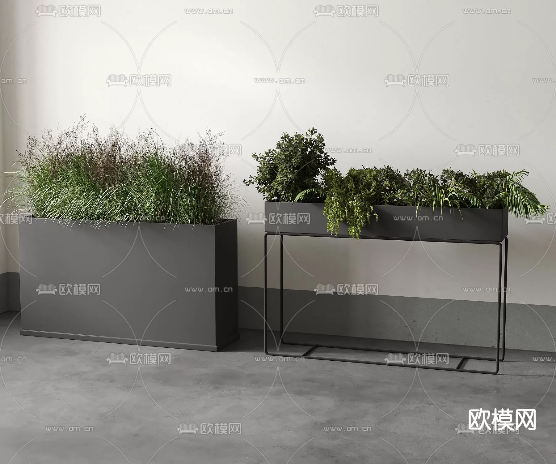 Plants and Flower – 3D Modesl – 0319