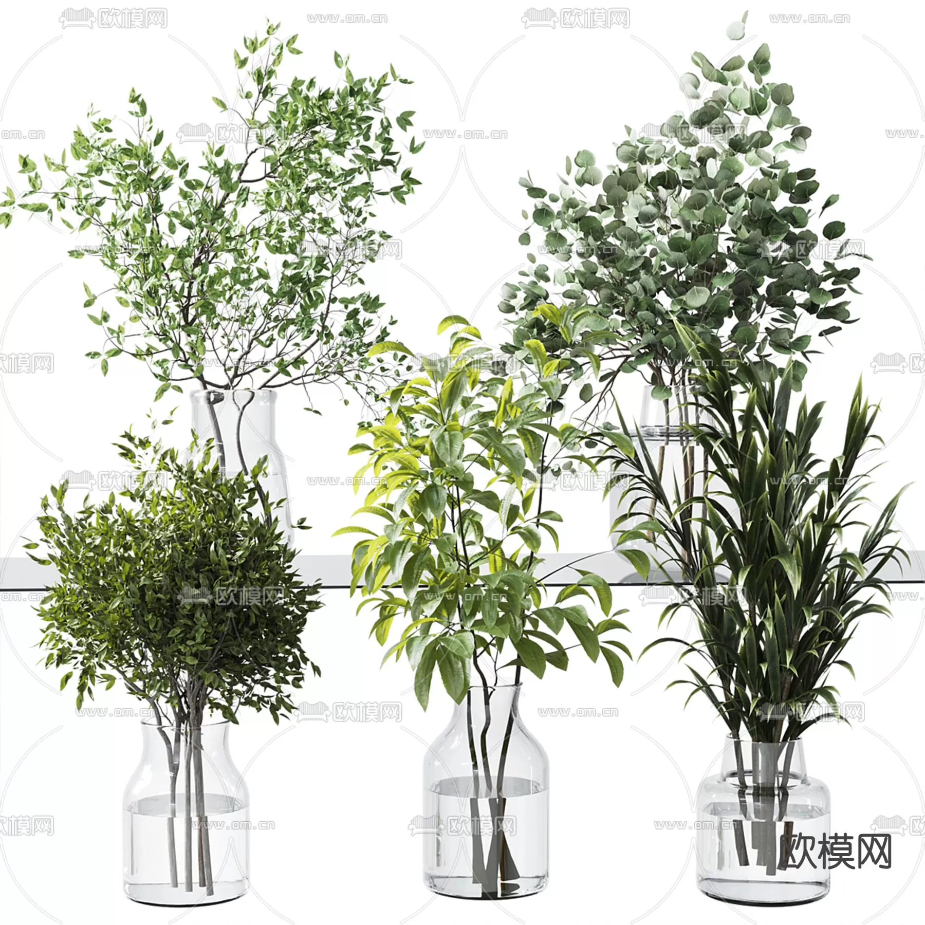 Plants and Flower – 3D Modesl – 0326