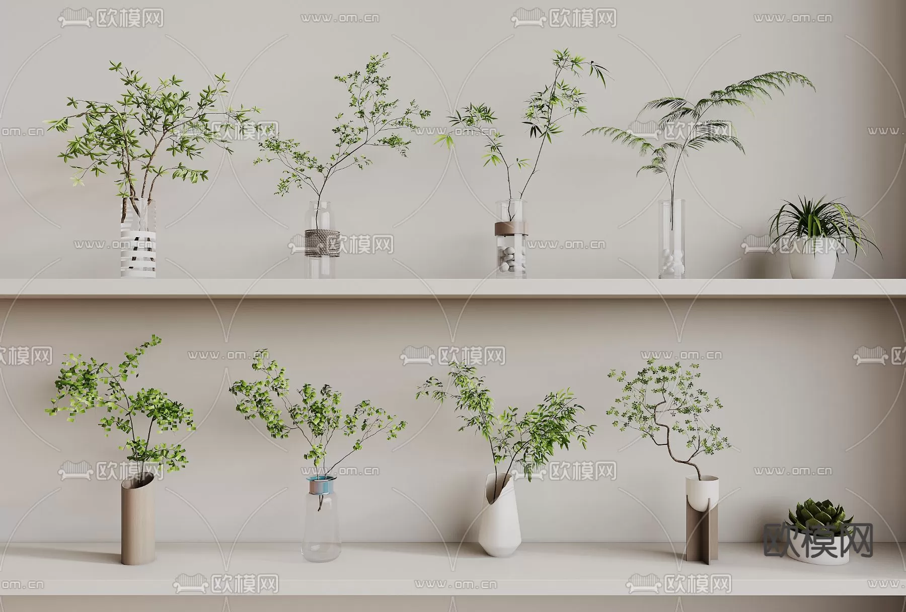 Plants and Flower – 3D Modesl – 0342