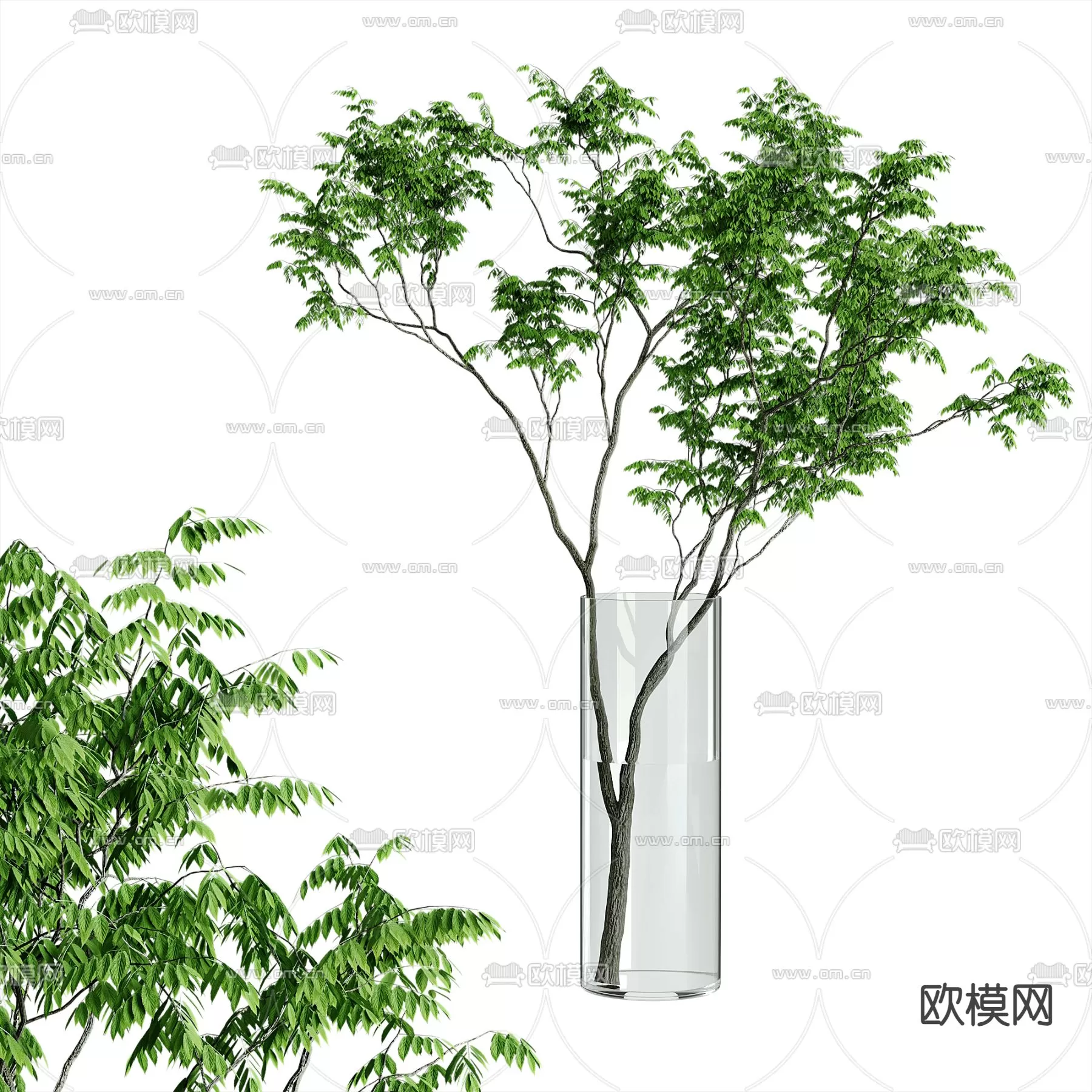 Plants and Flower – 3D Modesl – 0347