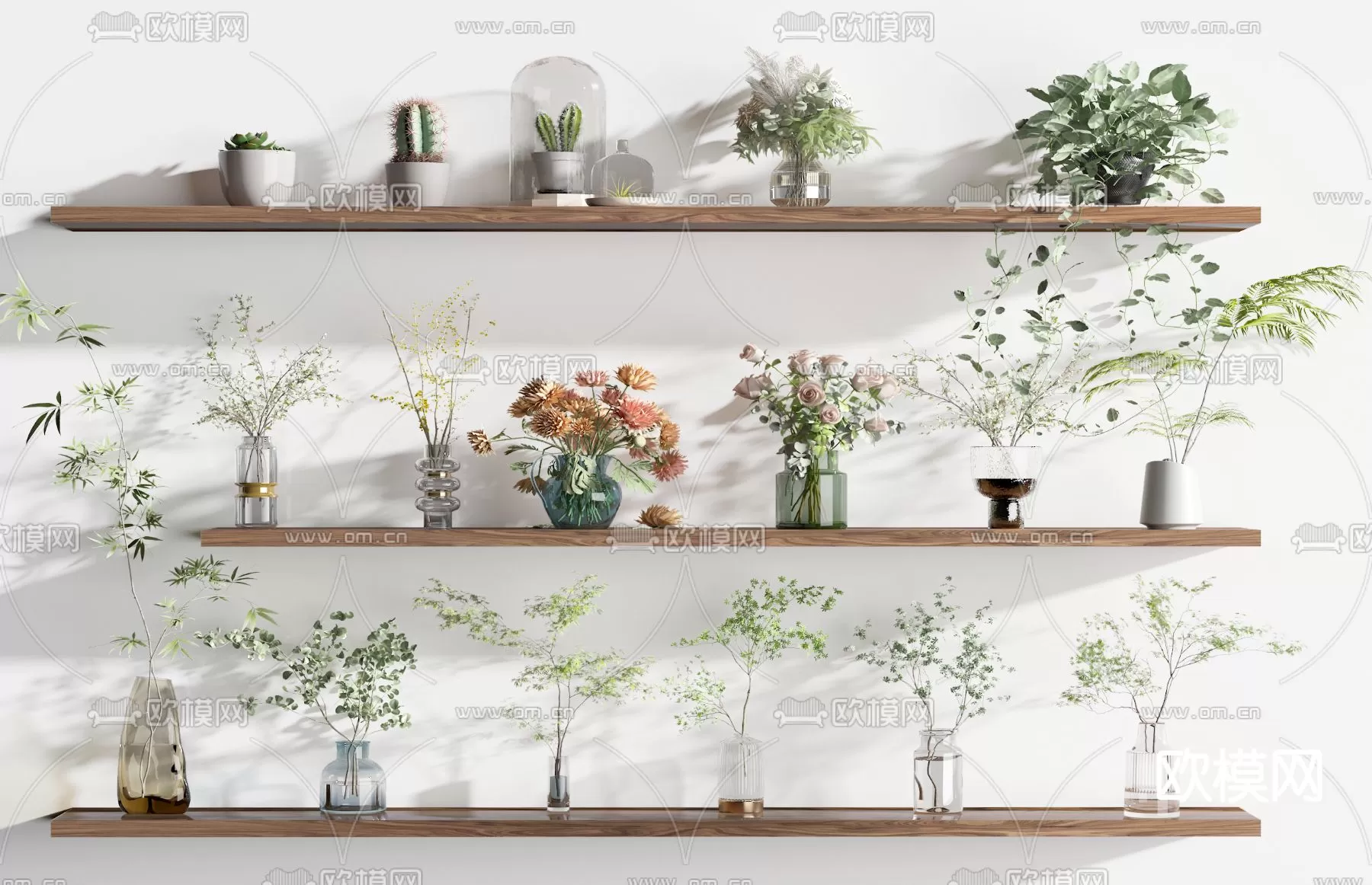 Plants and Flower – 3D Modesl – 0352