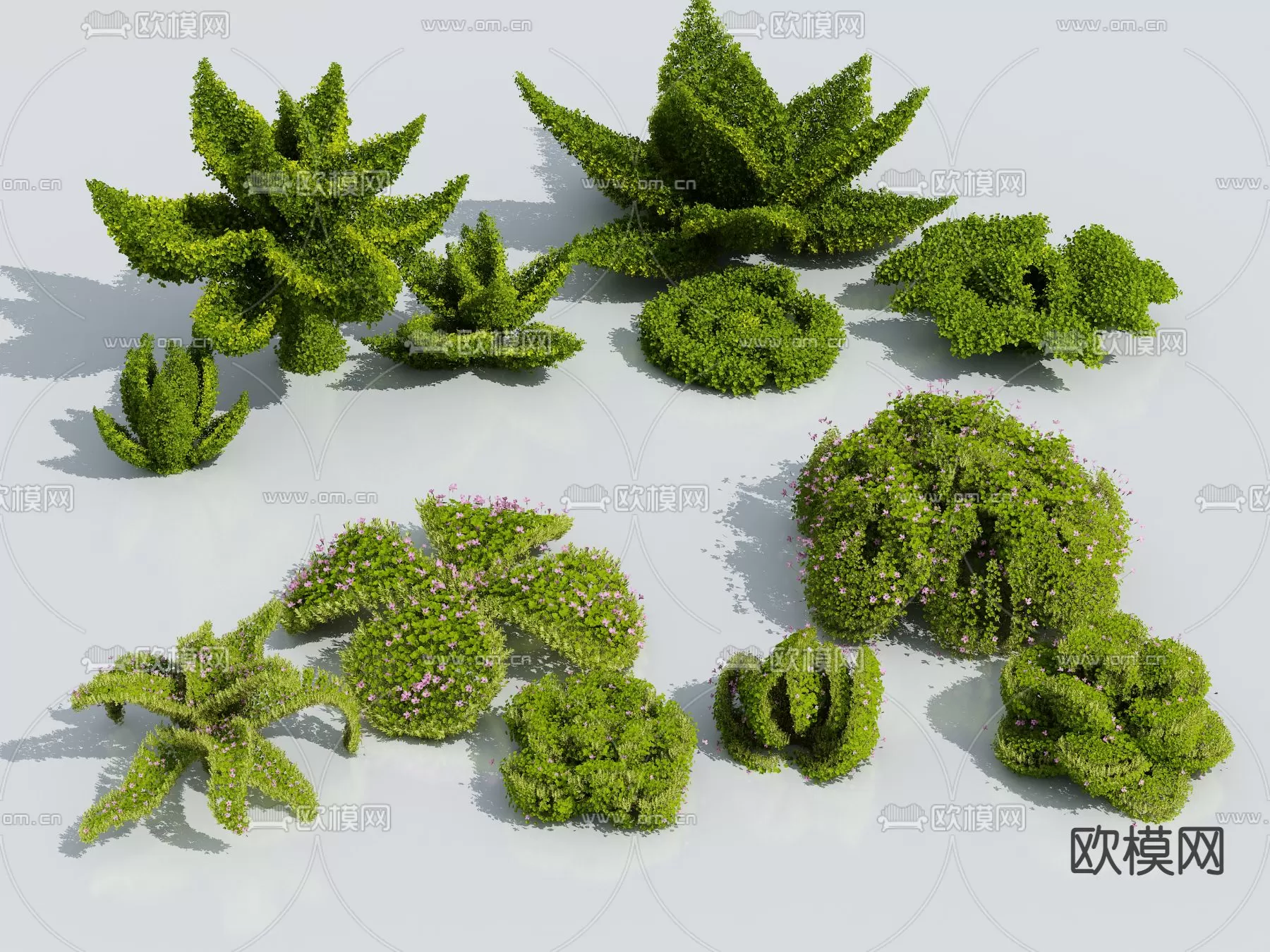 Plants and Flower – 3D Modesl – 0368