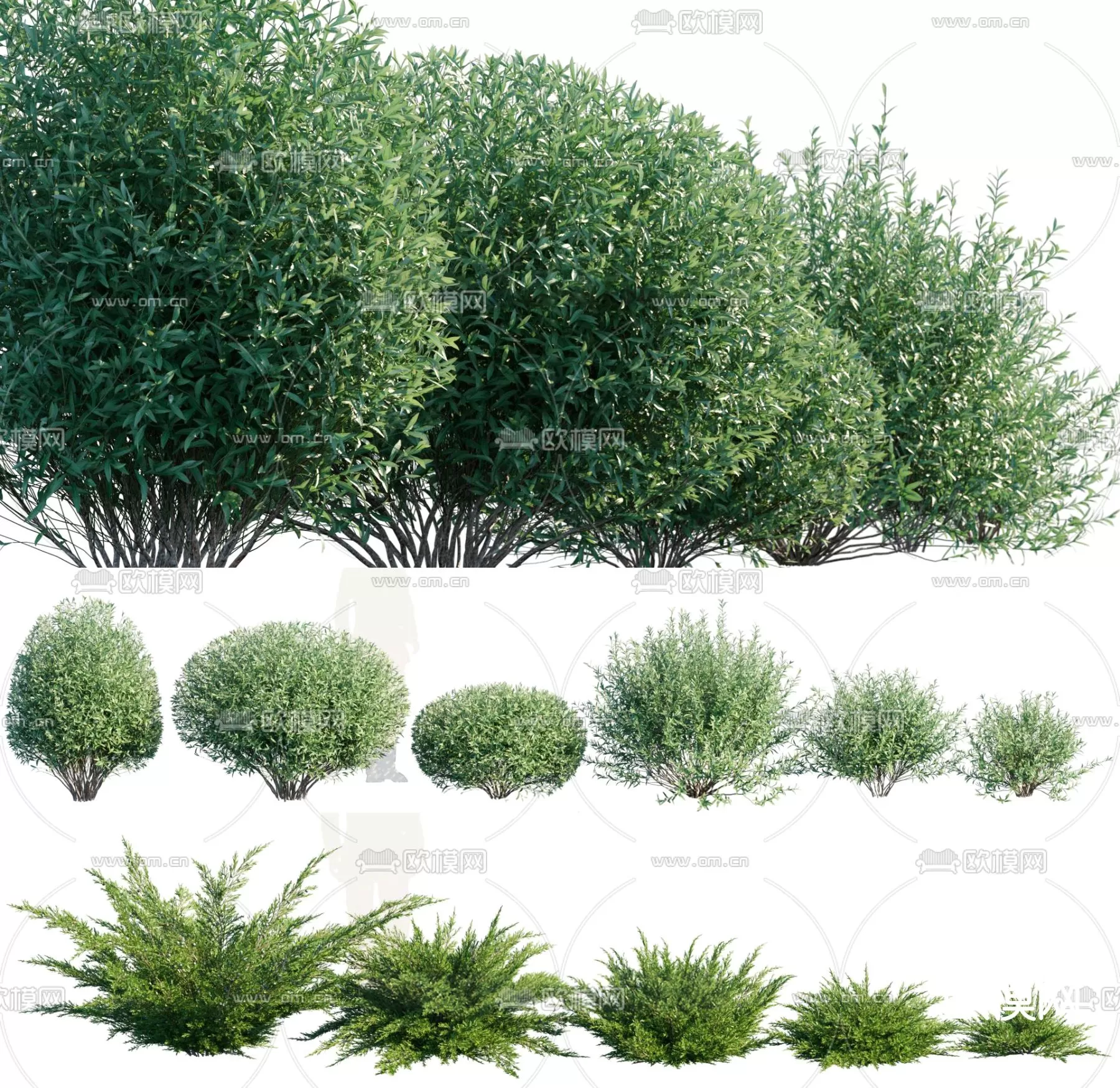 Plants and Flower – 3D Modesl – 0373