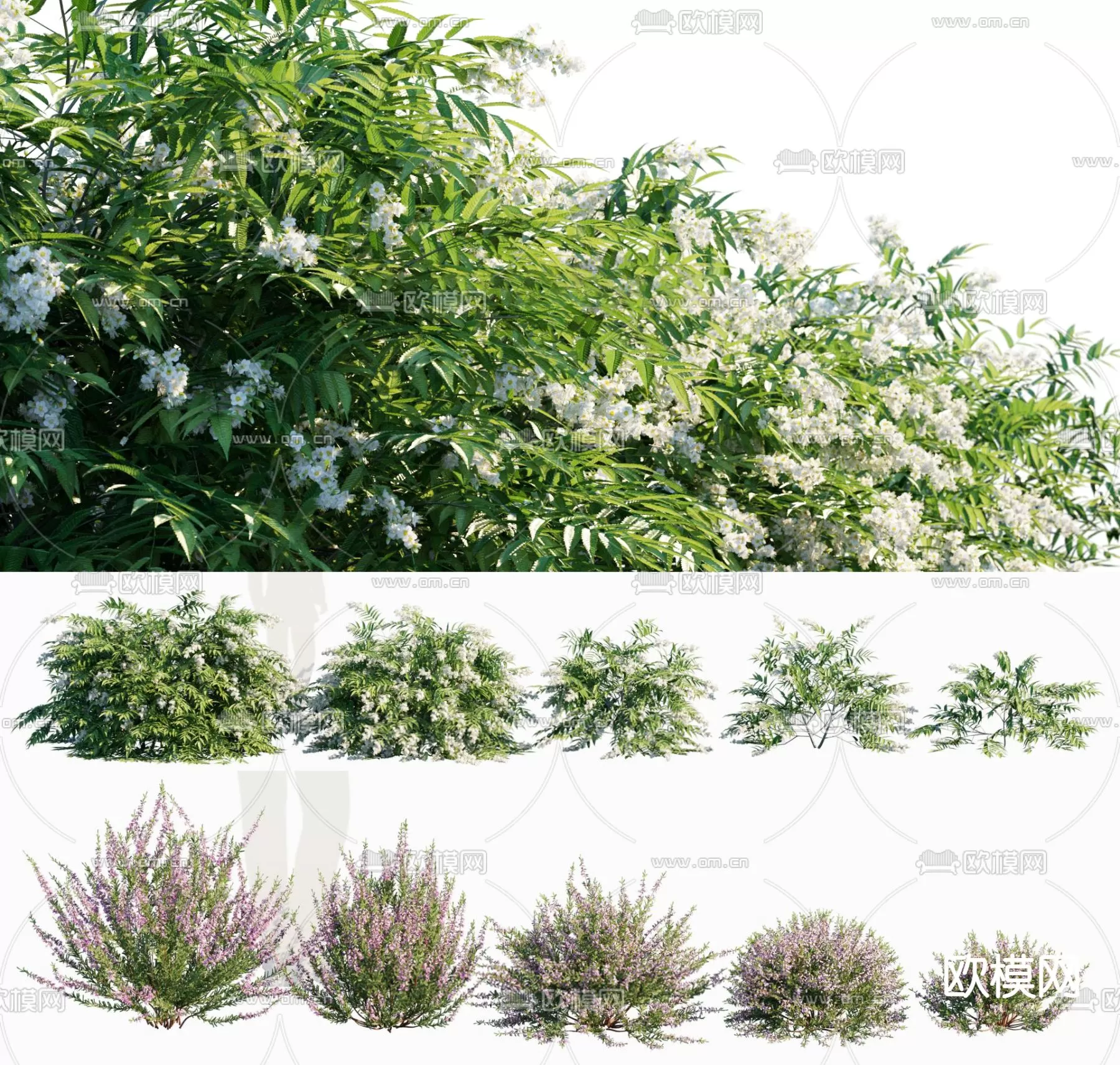 Plants and Flower – 3D Modesl – 0374