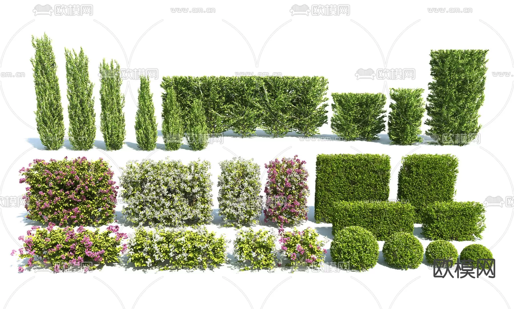 Plants and Flower – 3D Modesl – 0385