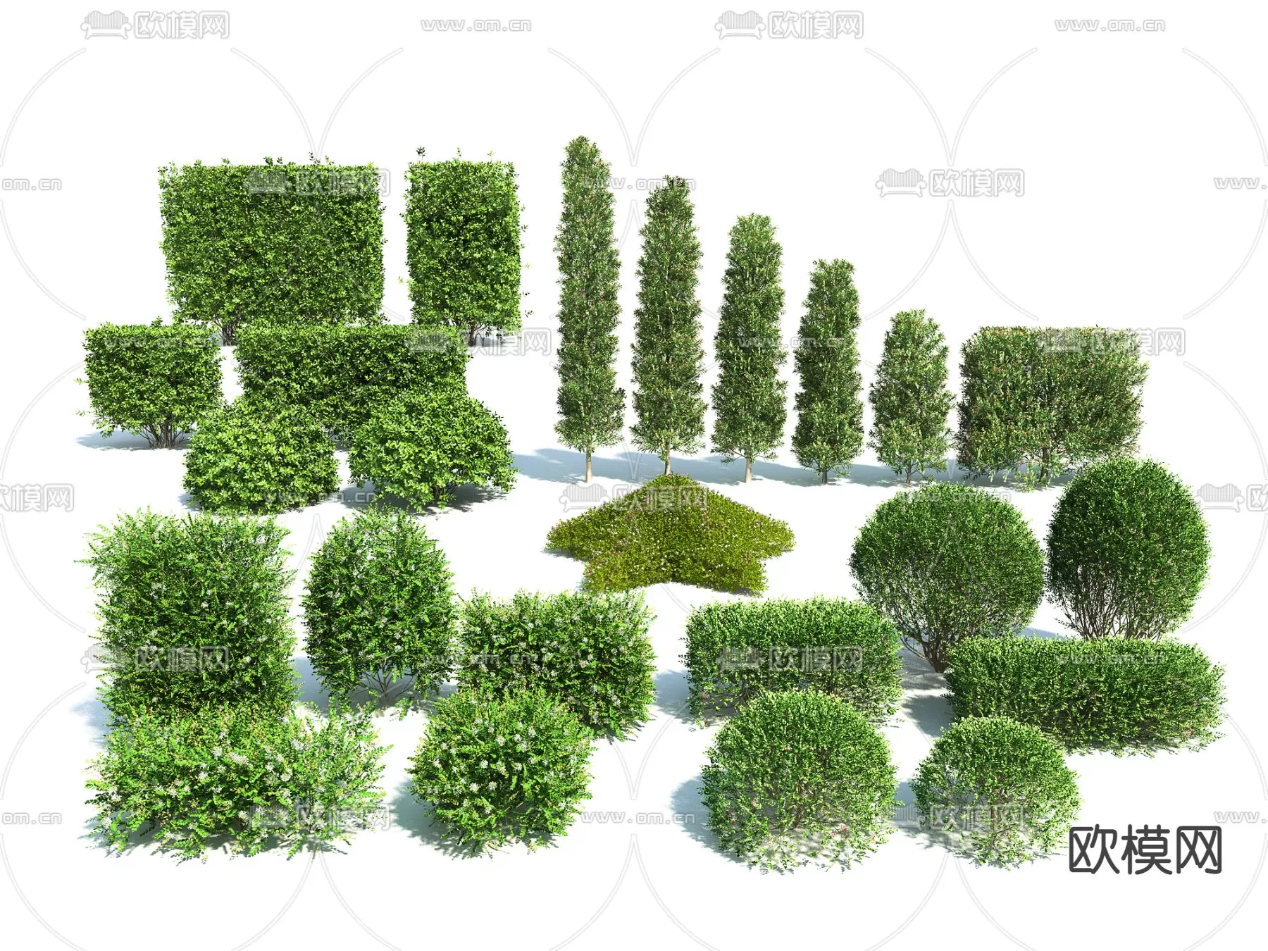 Plants and Flower – 3D Modesl – 0387