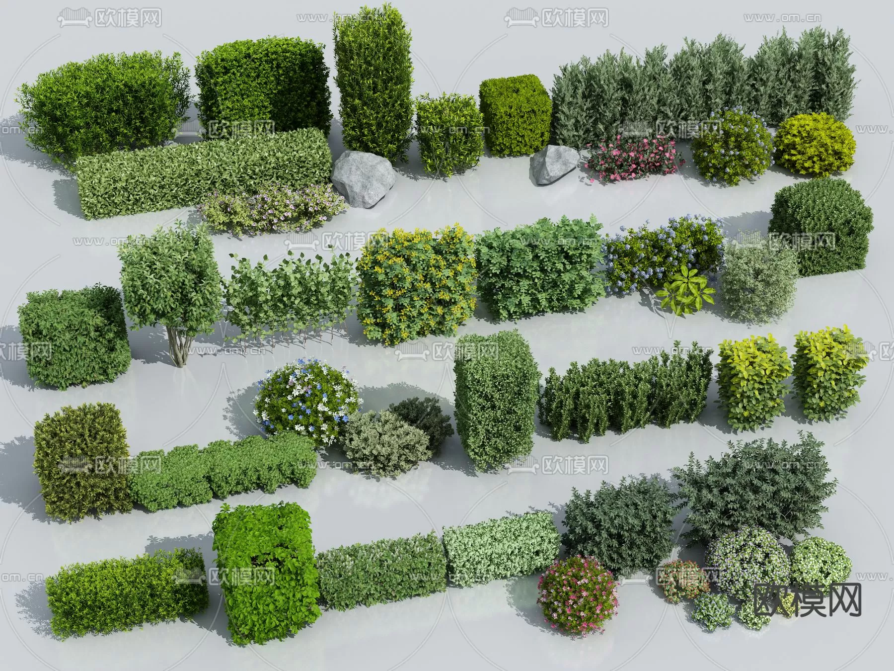 Plants and Flower – 3D Modesl – 0391