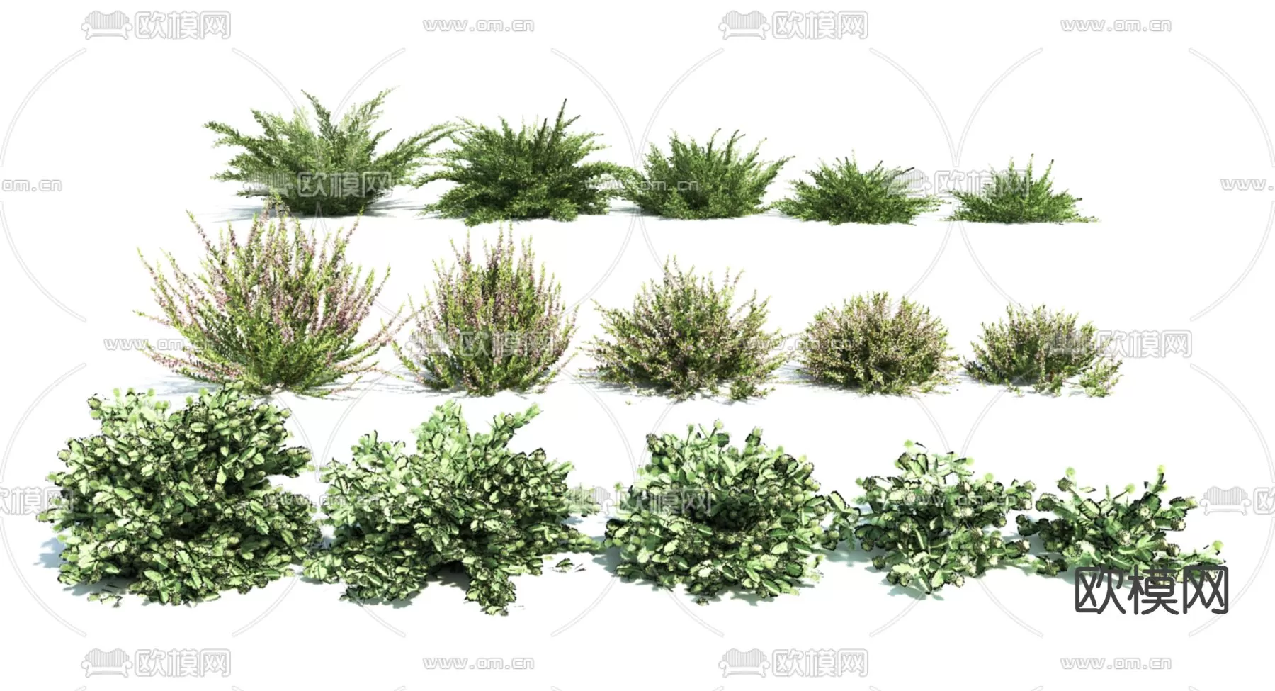 Plants and Flower – 3D Modesl – 0393