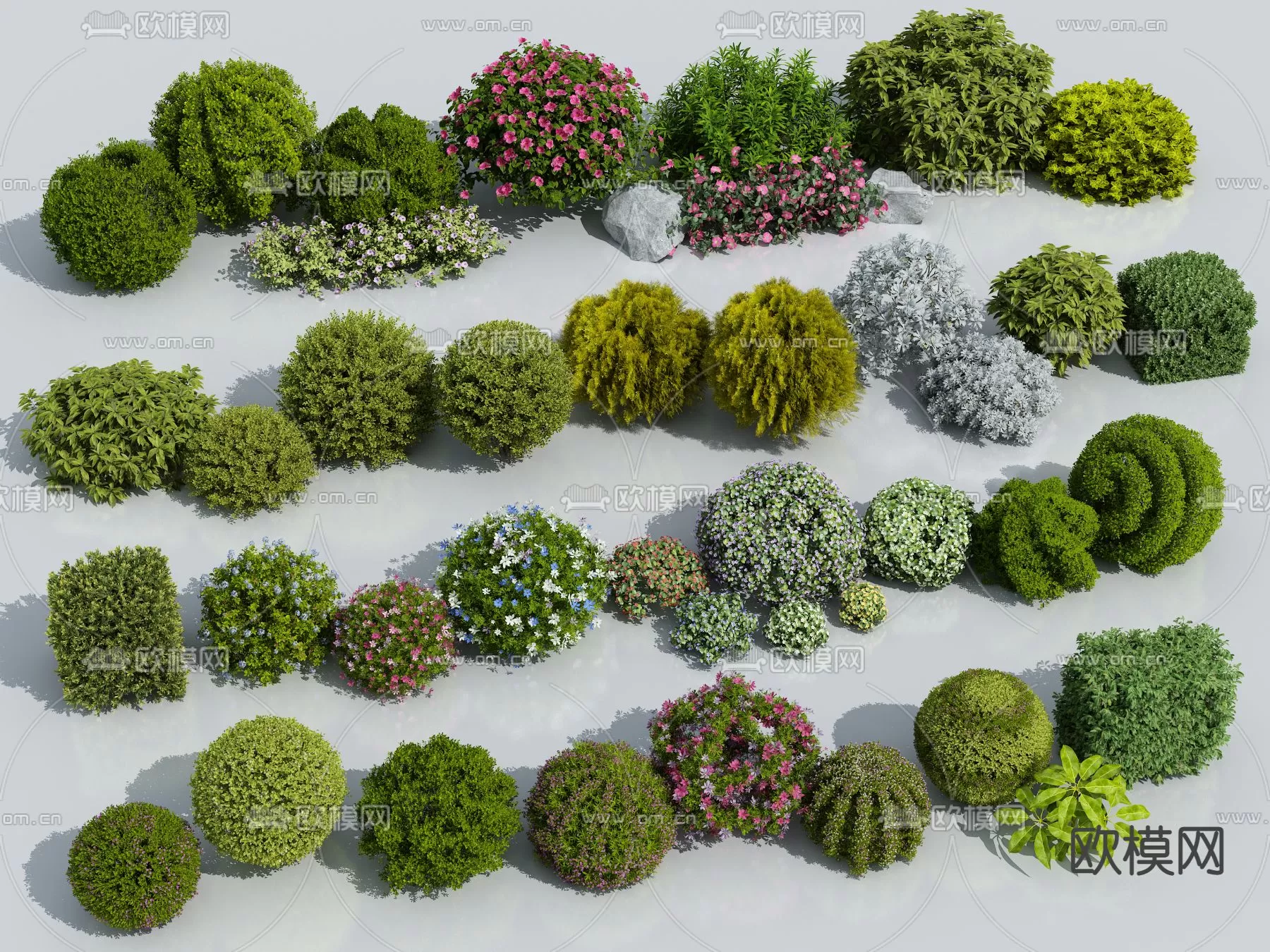 Plants and Flower – 3D Modesl – 0394